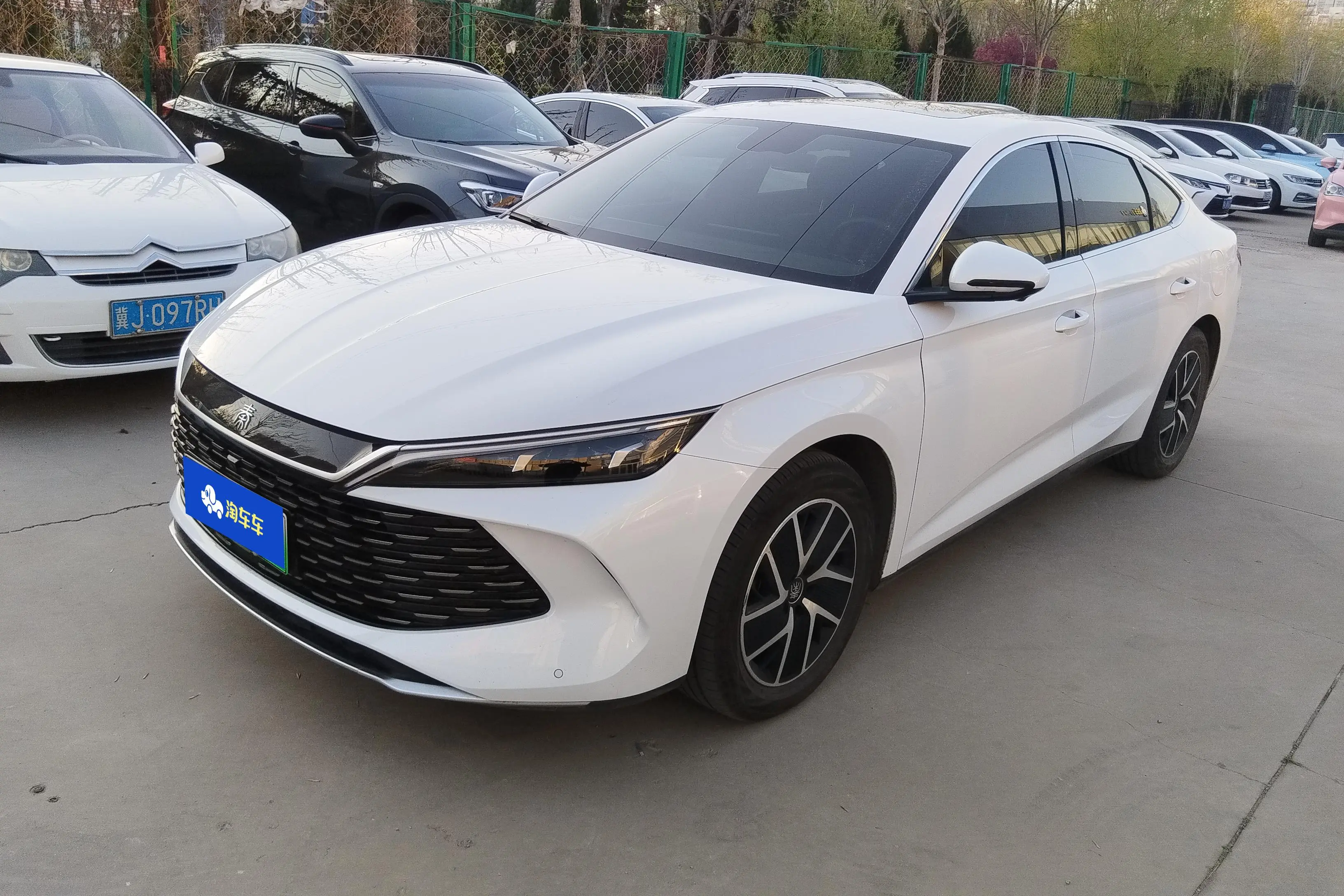 BYD Qin L DM