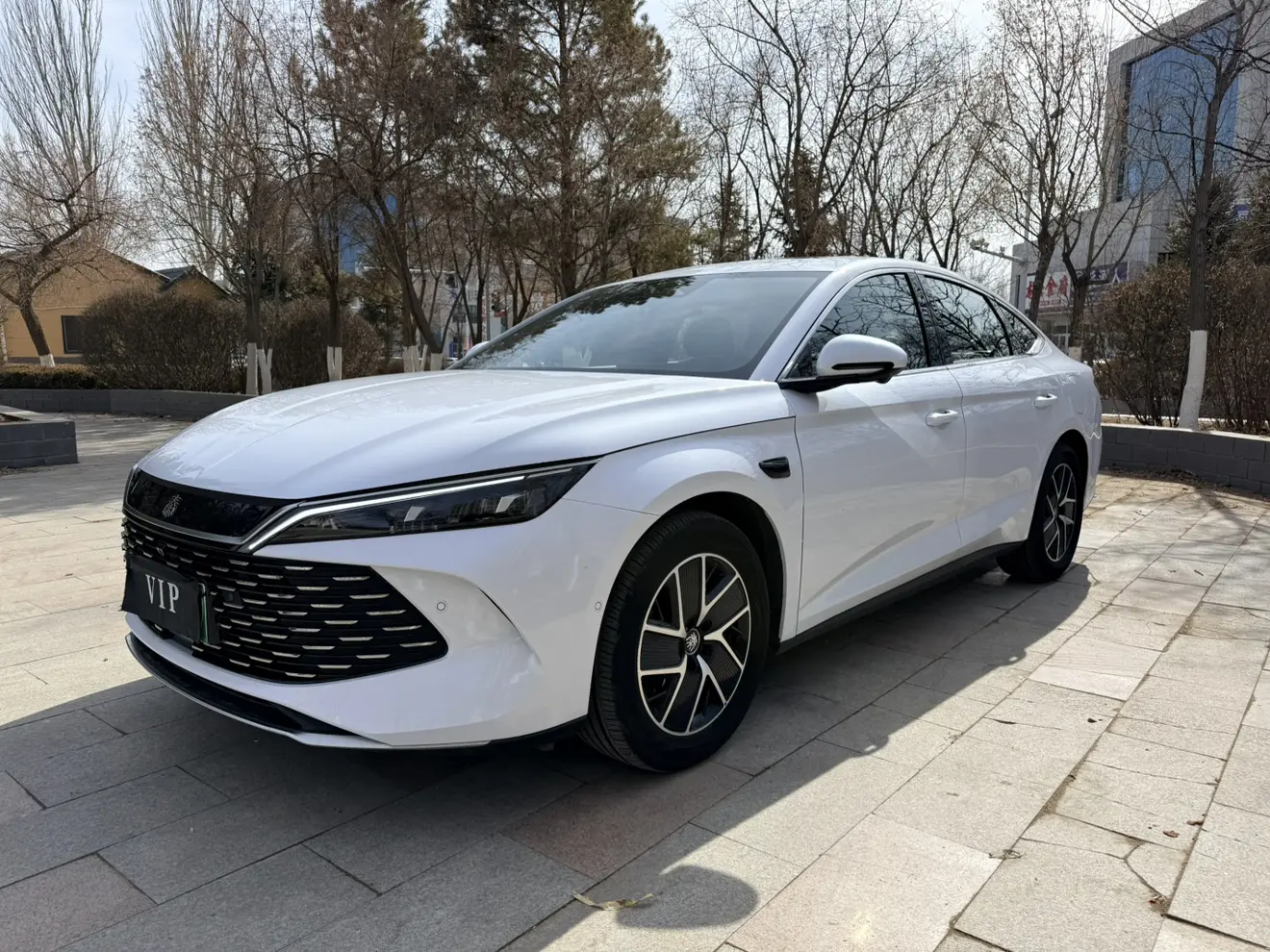 BYD Qin L DM