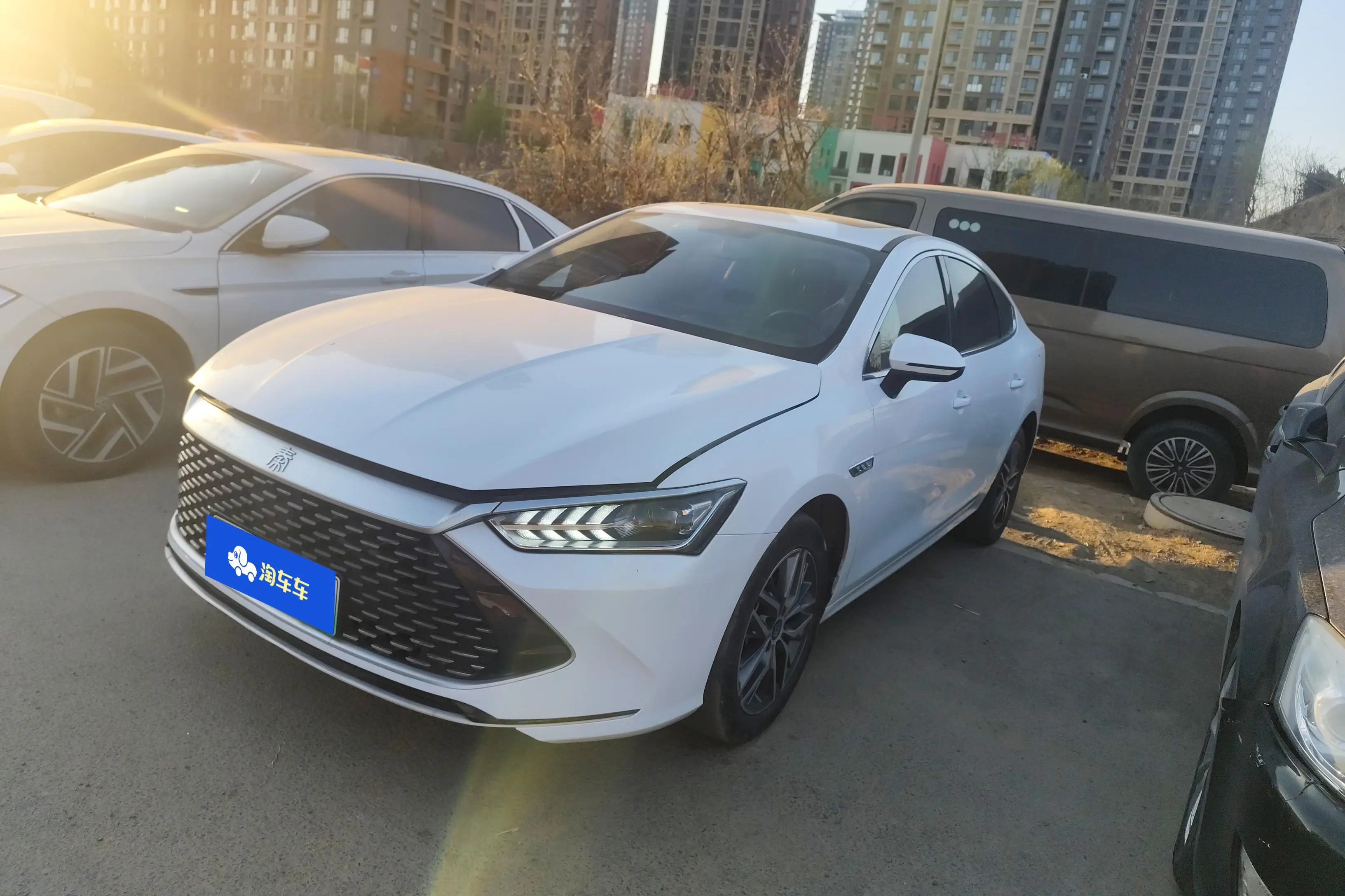 BYD Qin PLUS DM