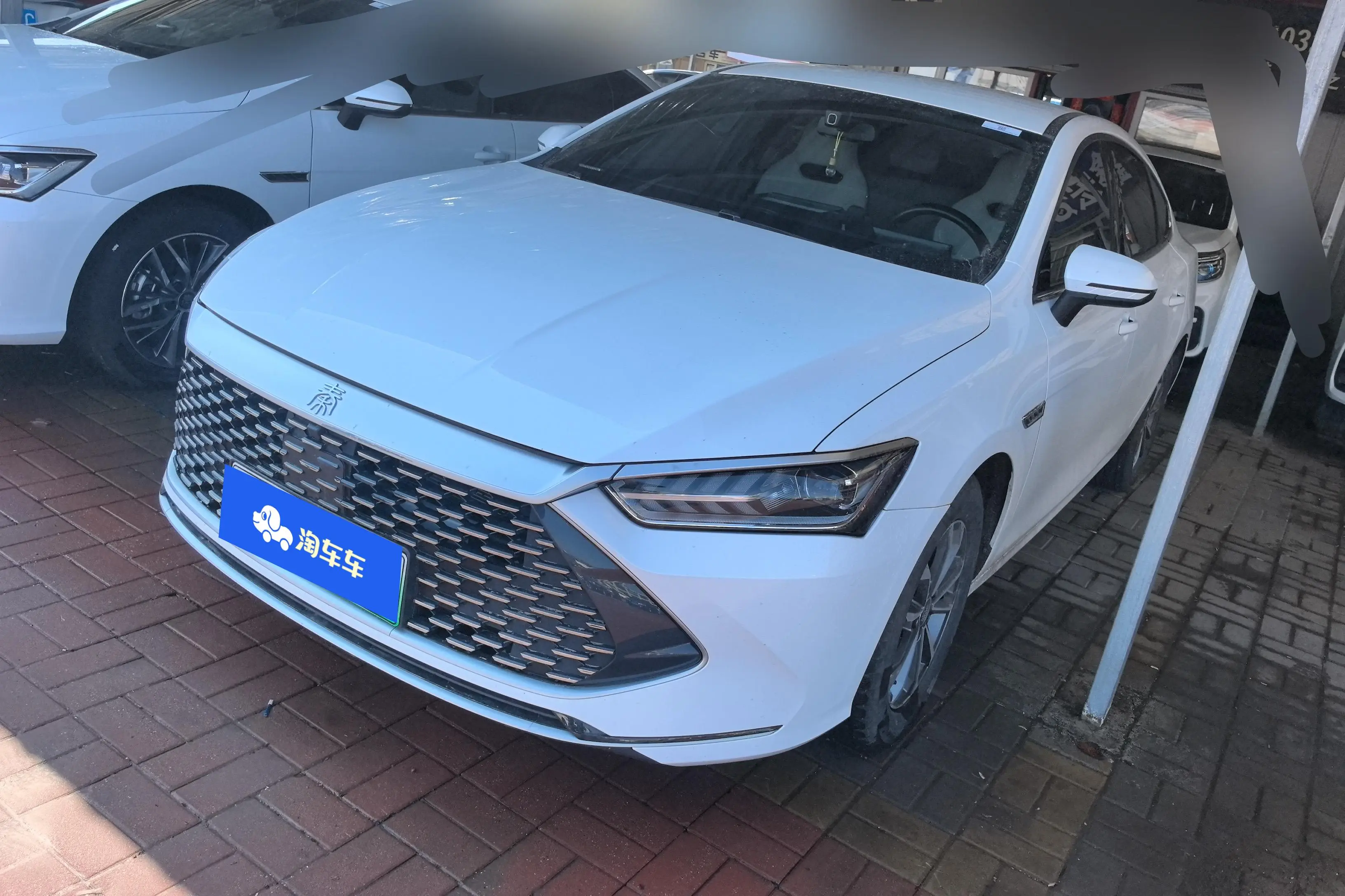 BYD Qin PLUS DM
