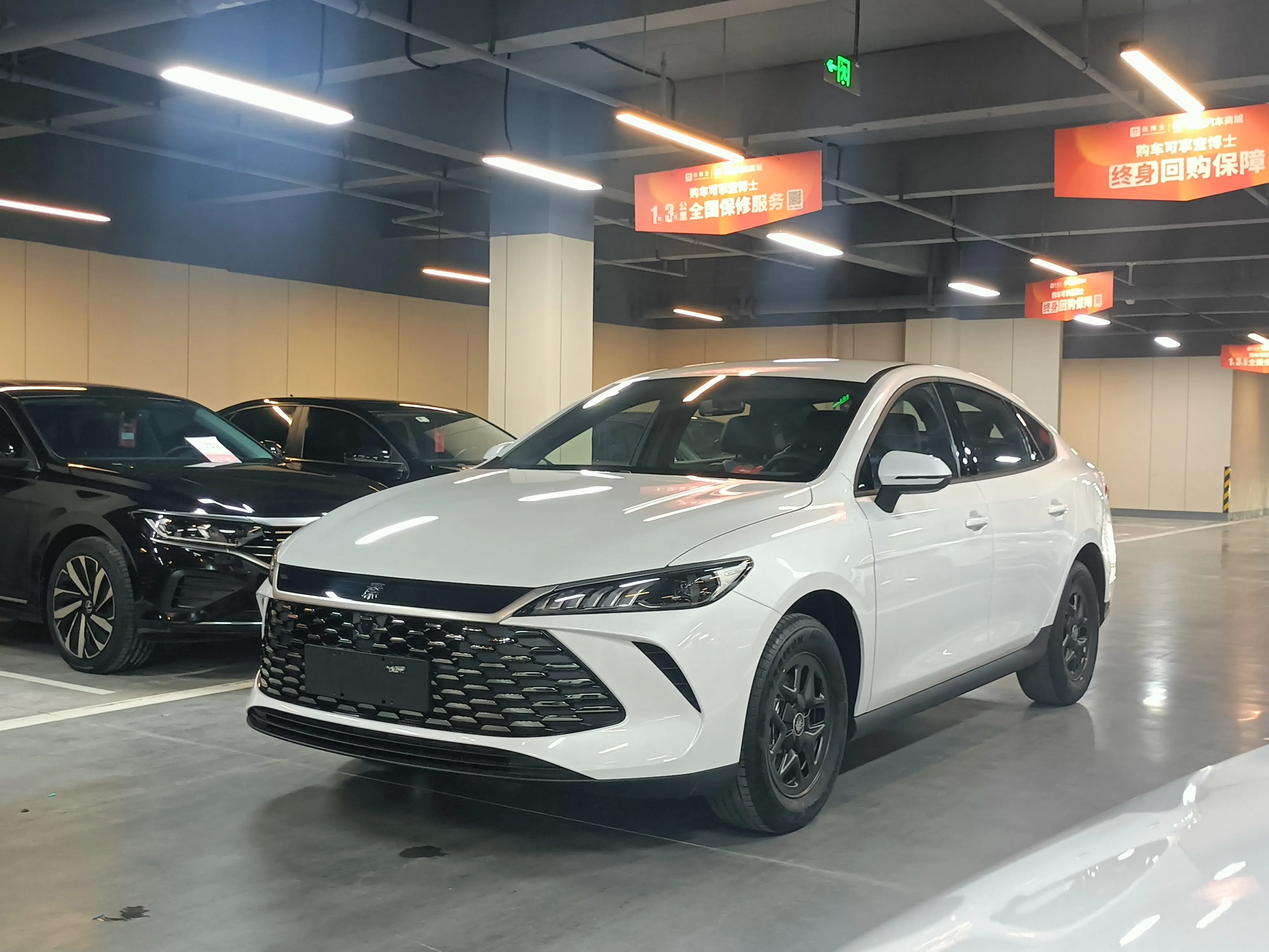 BYD Qin PLUS DM