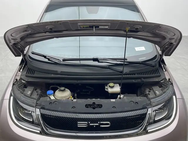 BYD dolphin