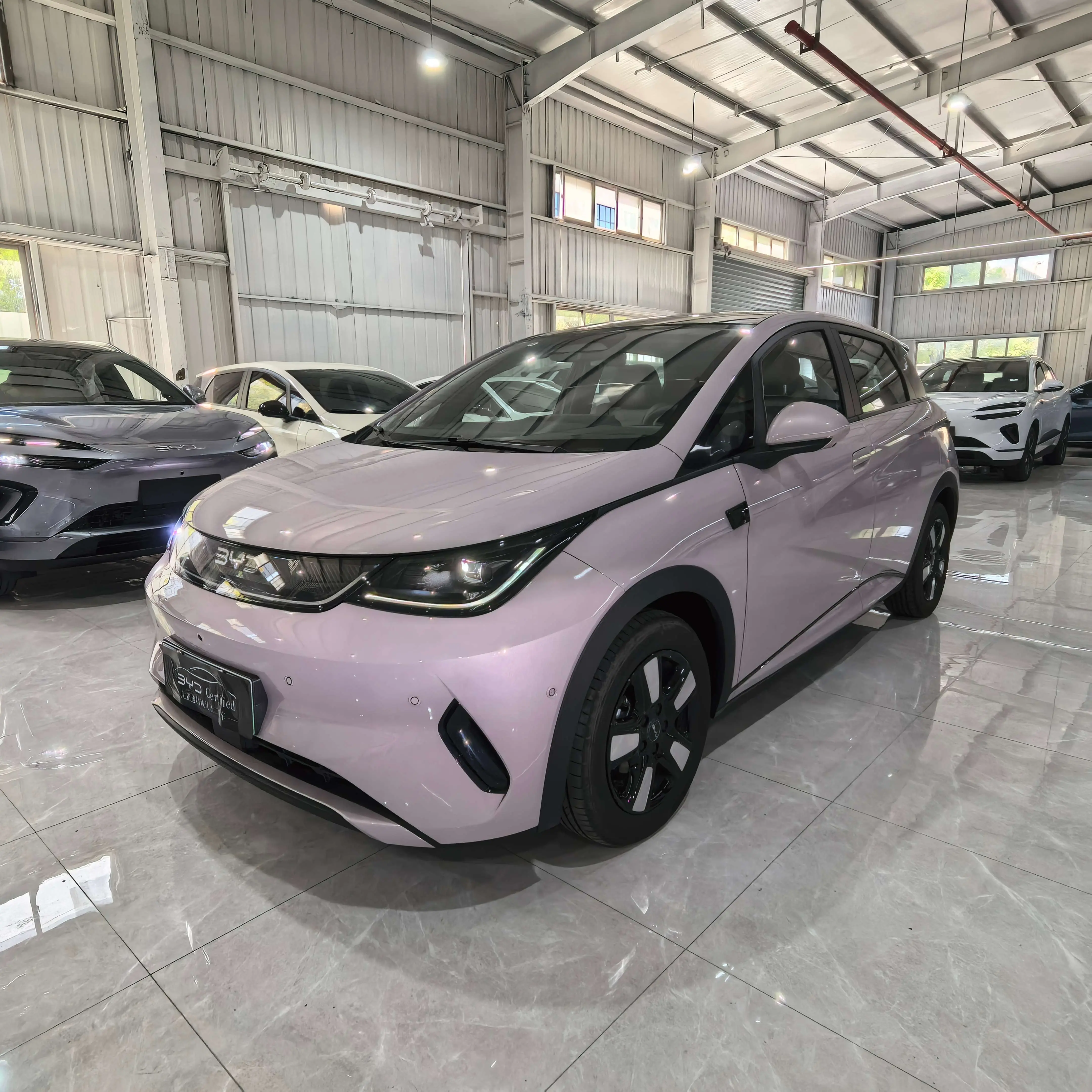 BYD Dolphin
