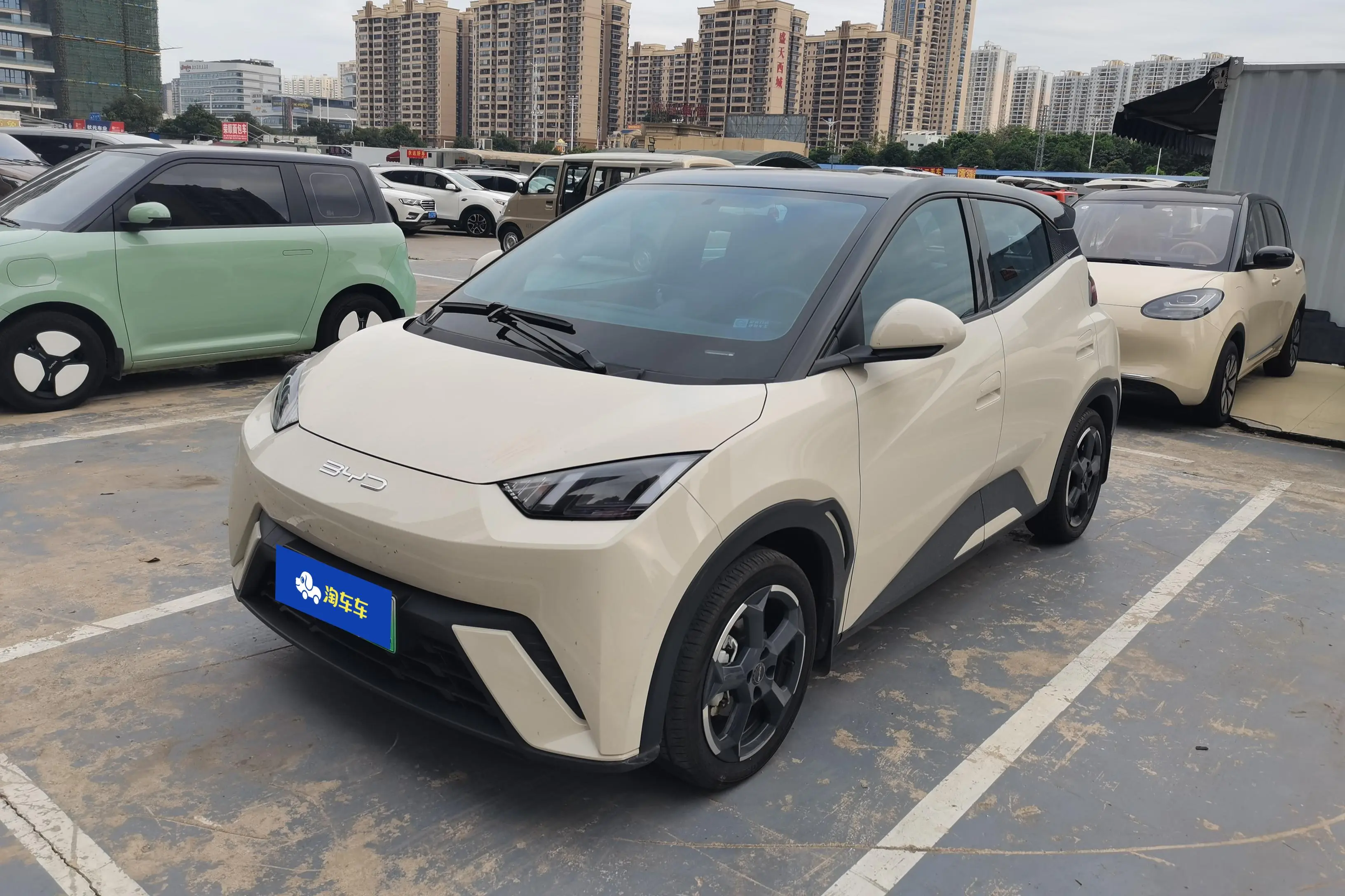 BYD Seagull