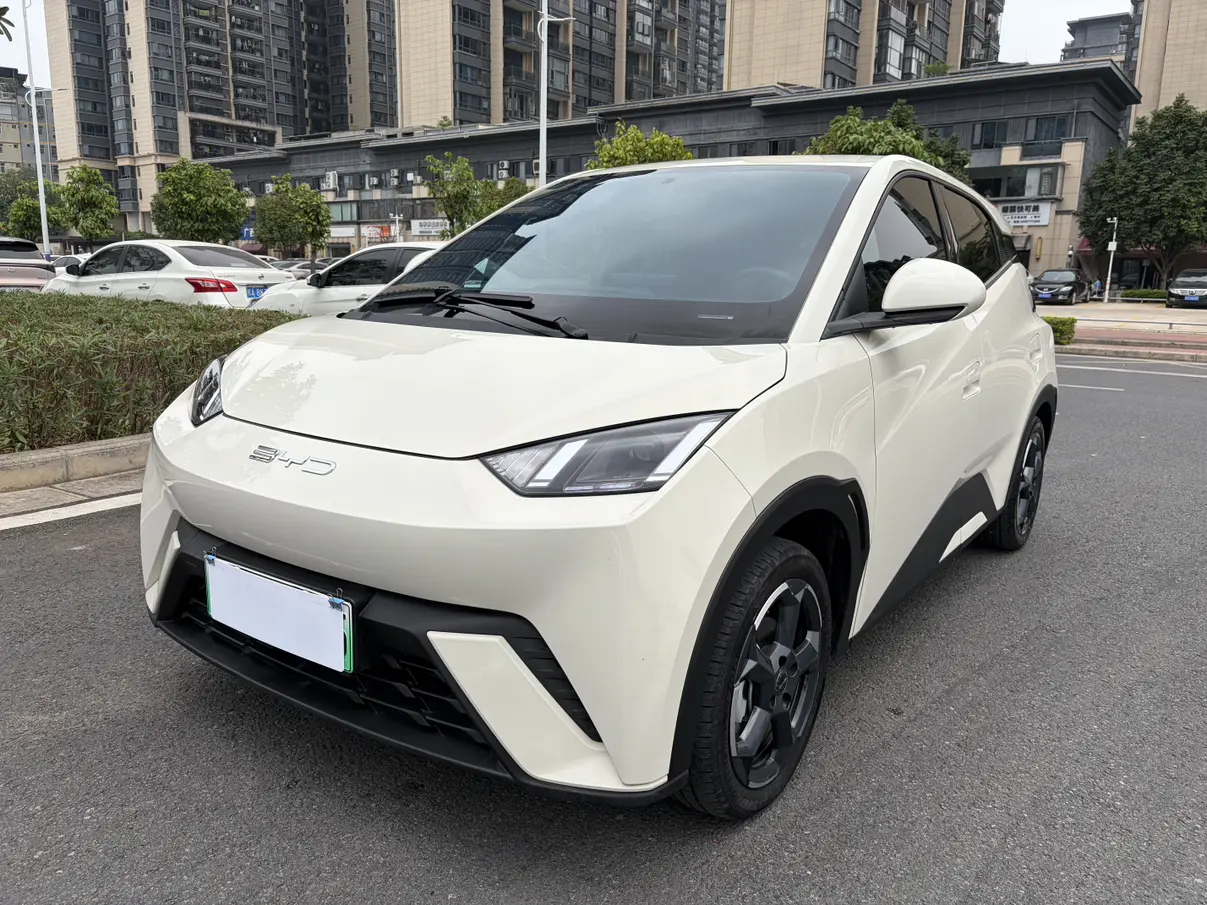 BYD Seagull