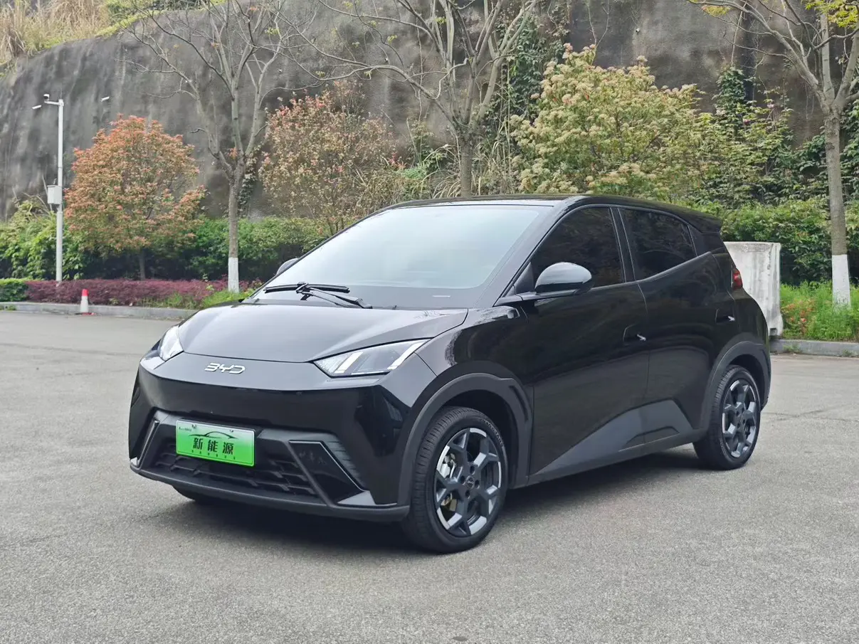 BYD Seagull