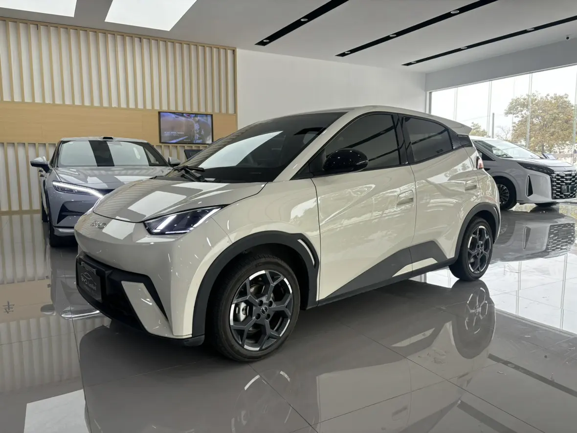 BYD Seagull