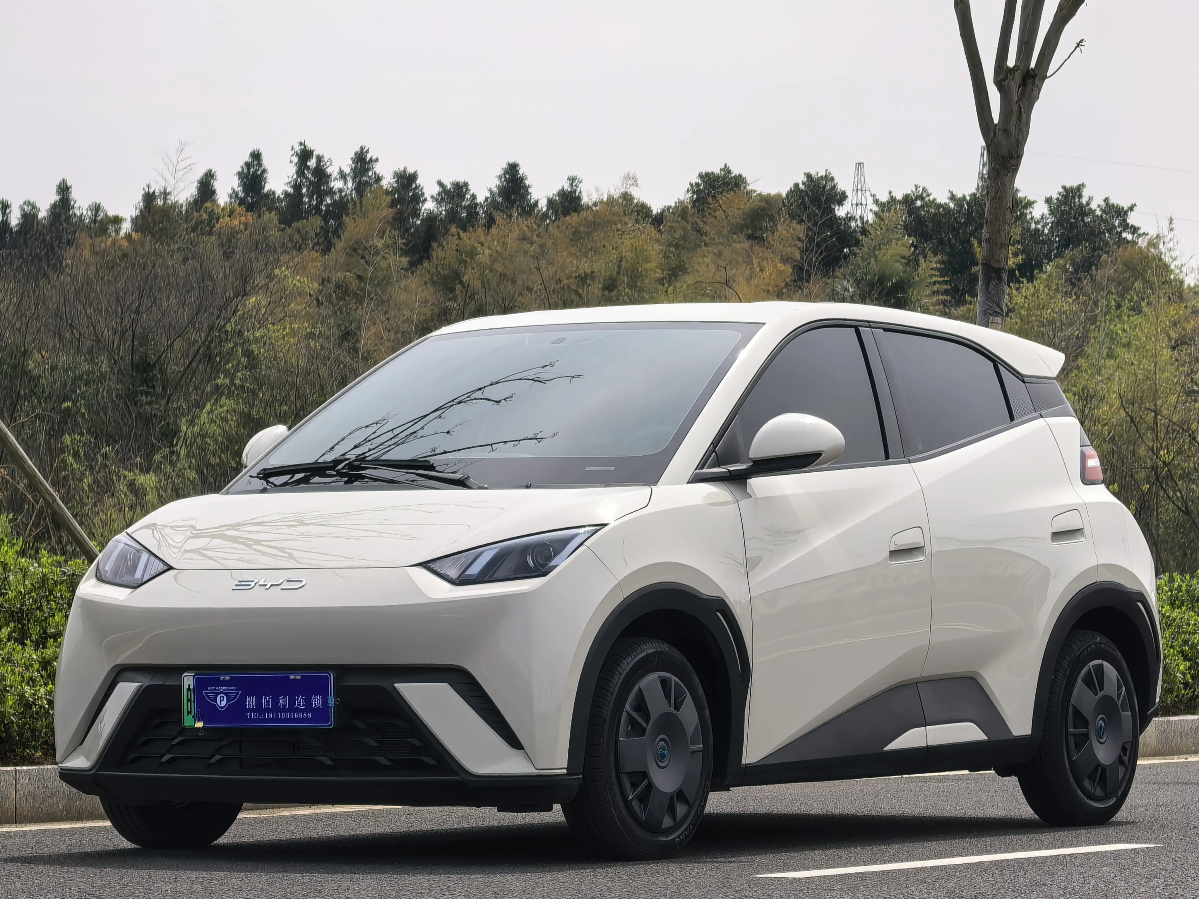 BYD Seagull