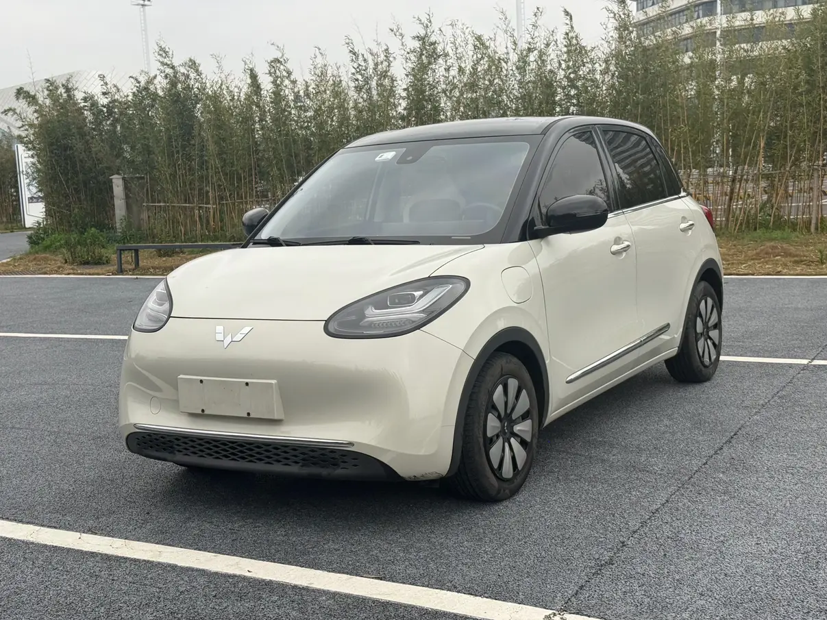 Wuling Bingo