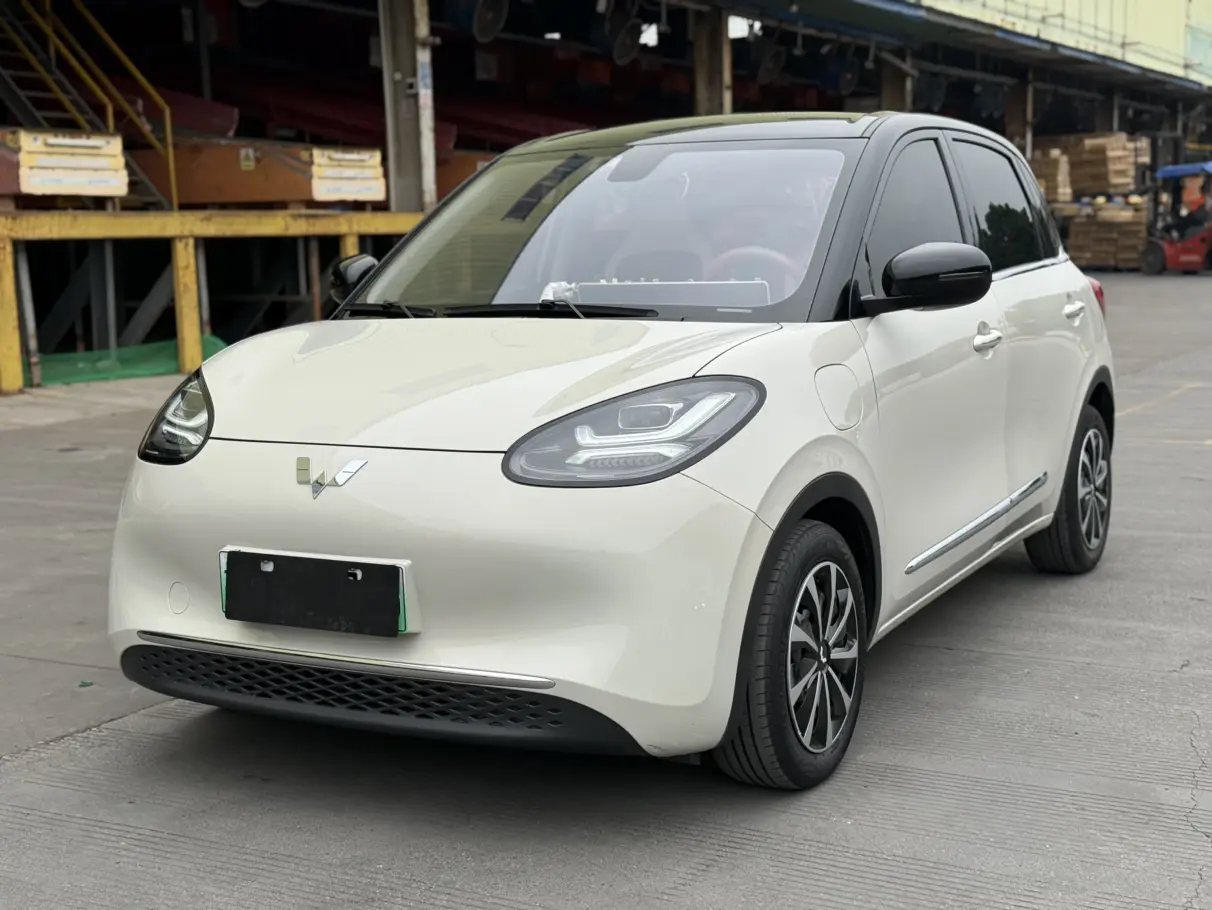 Wuling Bingo