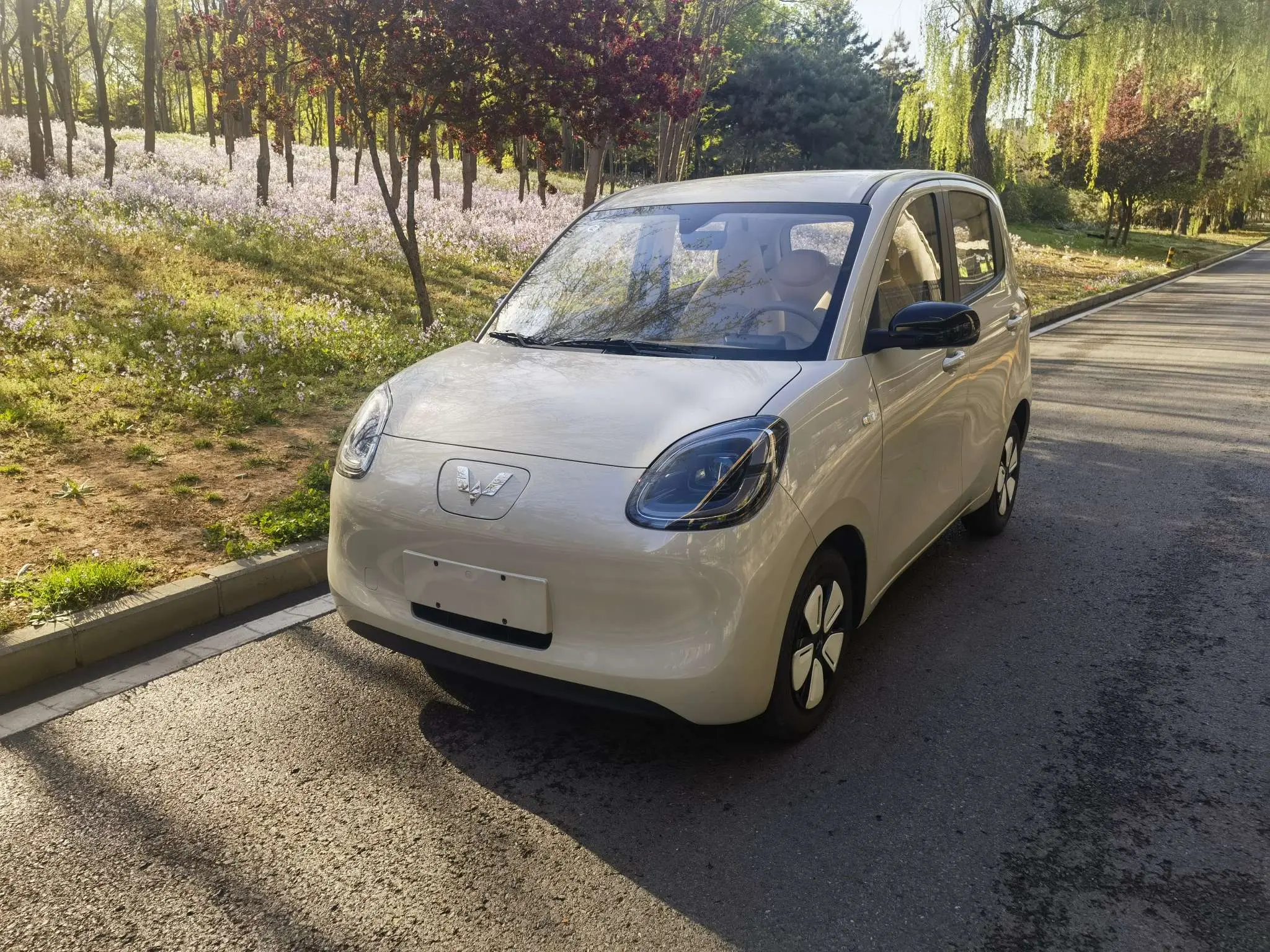 Wuling Hongguang MINIEV