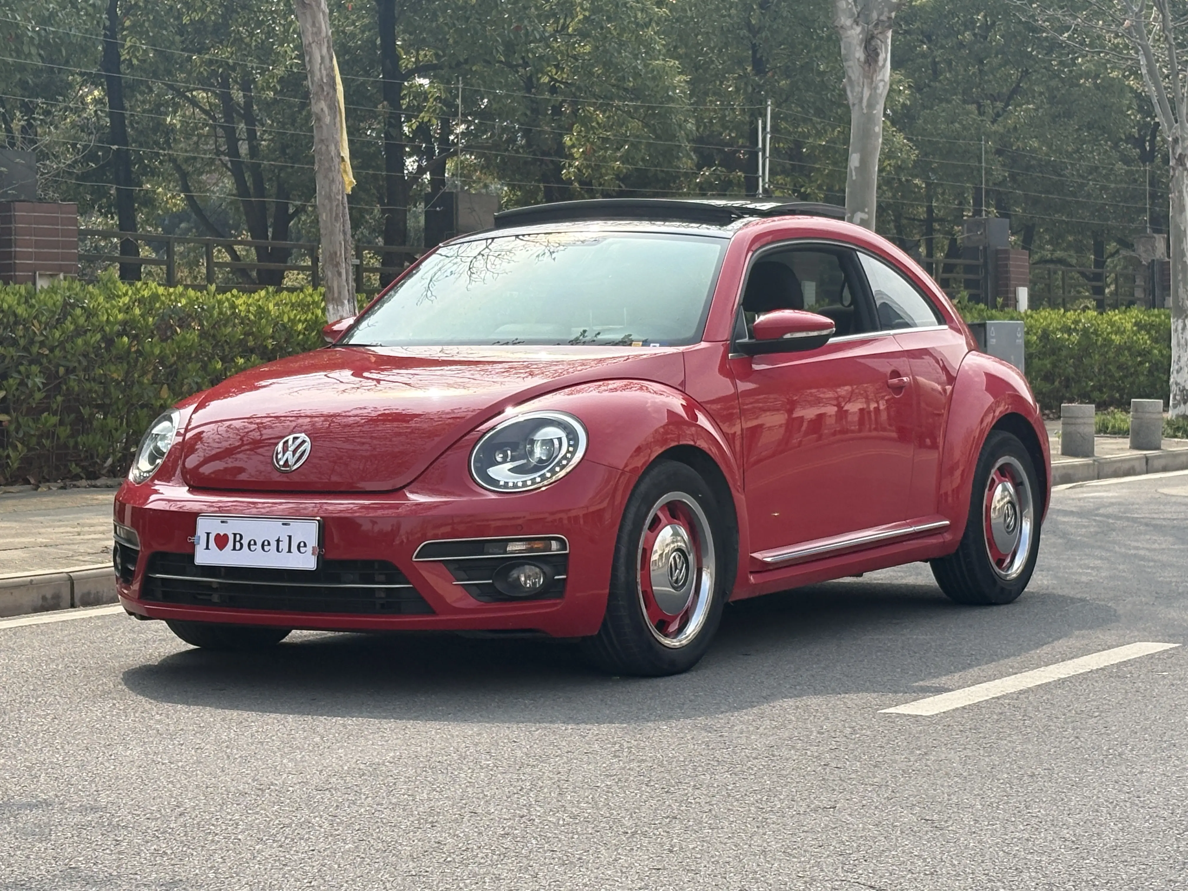 Volkswagen Beetle