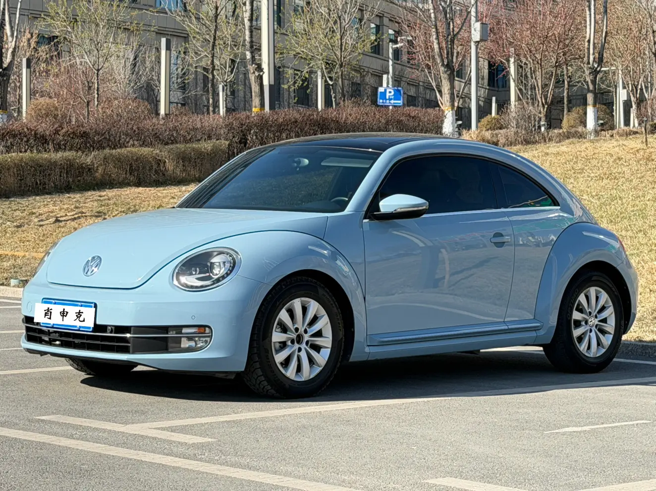 Volkswagen Beetle