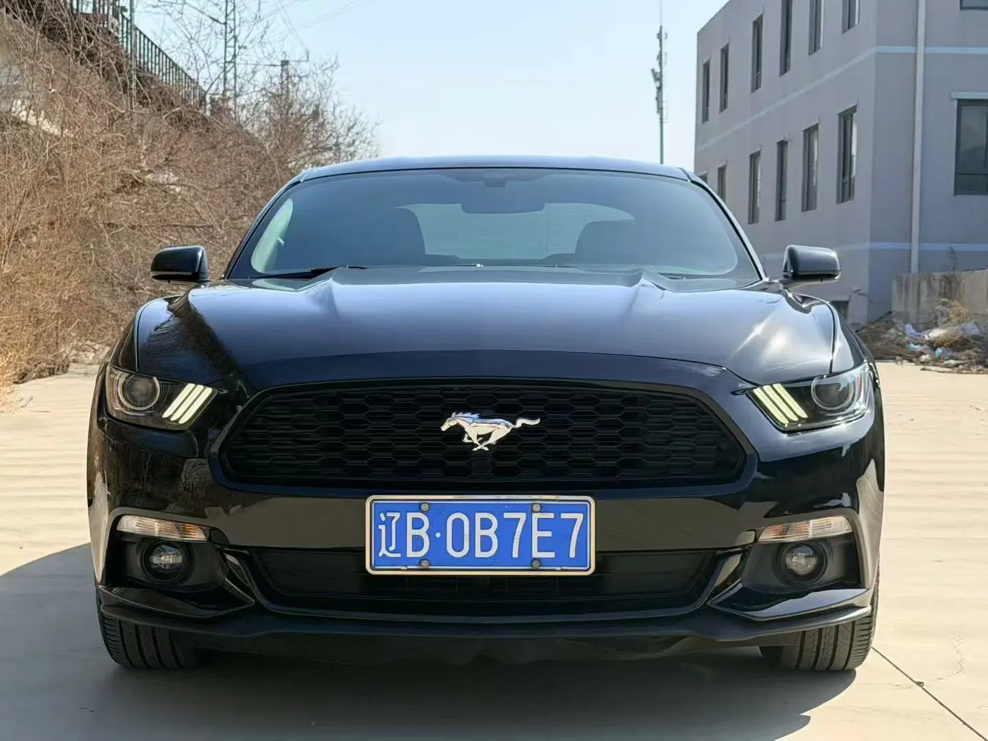 Ford Mustang