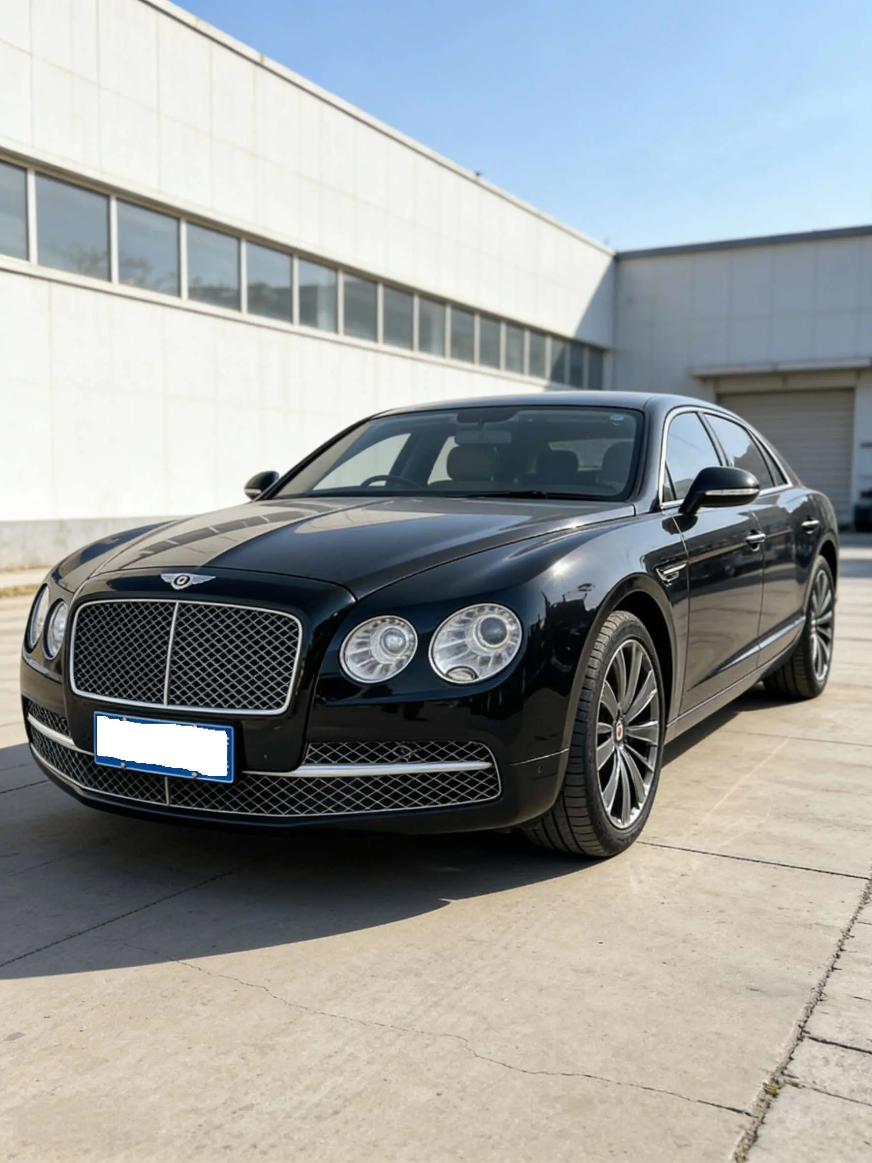 Bentley Galloping