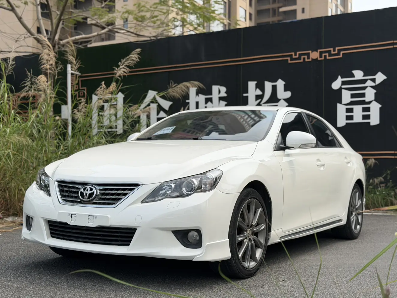 Toyota Ruizhi