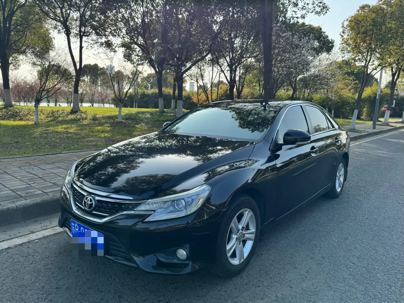 Toyota Ruizhi
