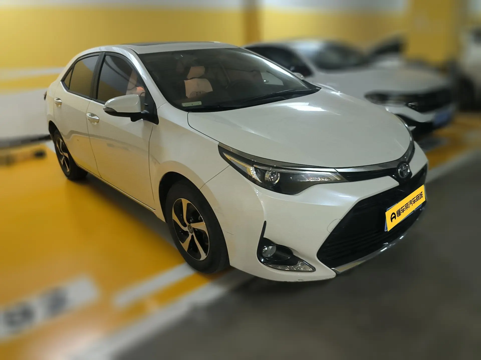 Toyota Levin