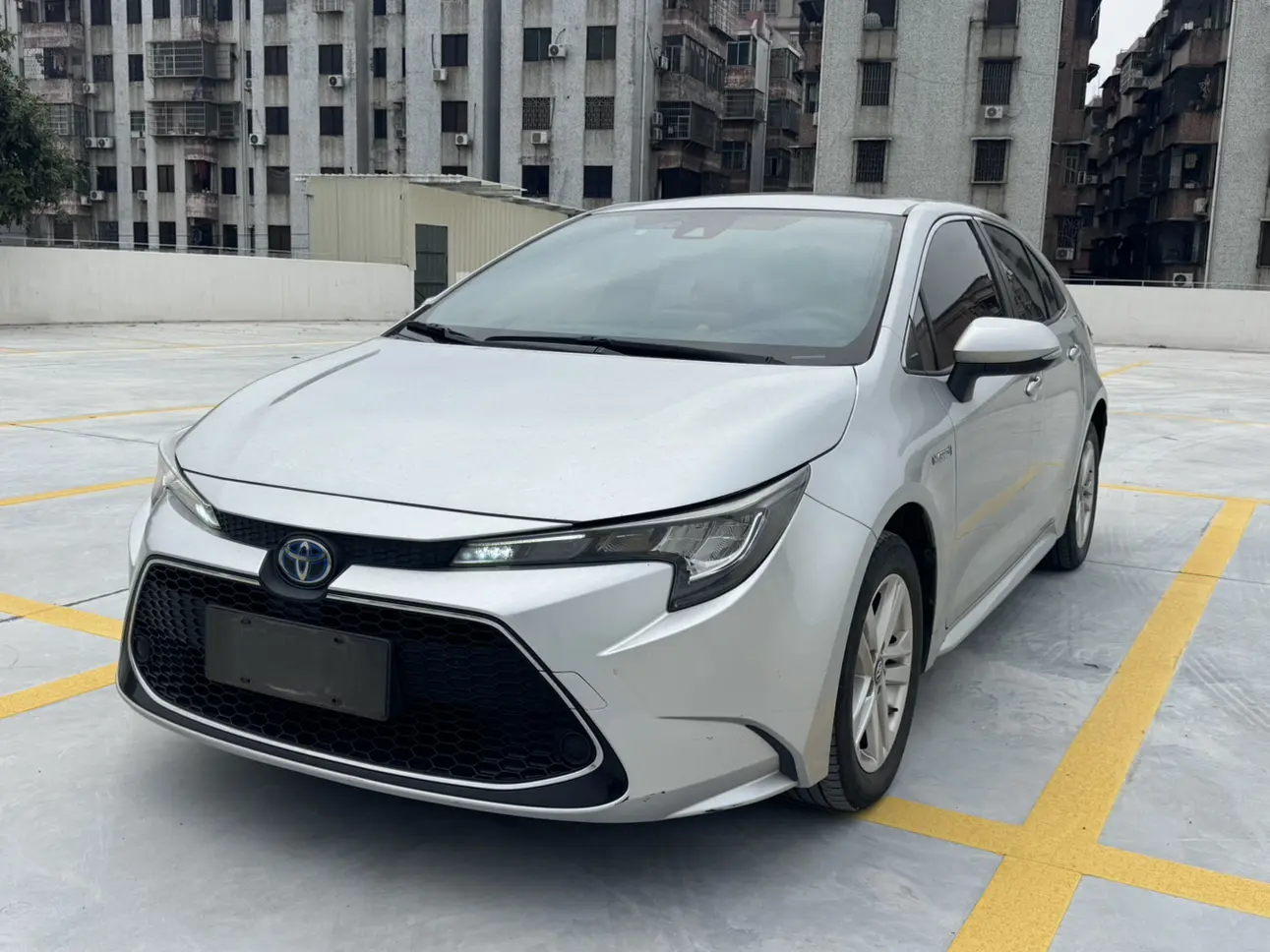 Toyota Levin