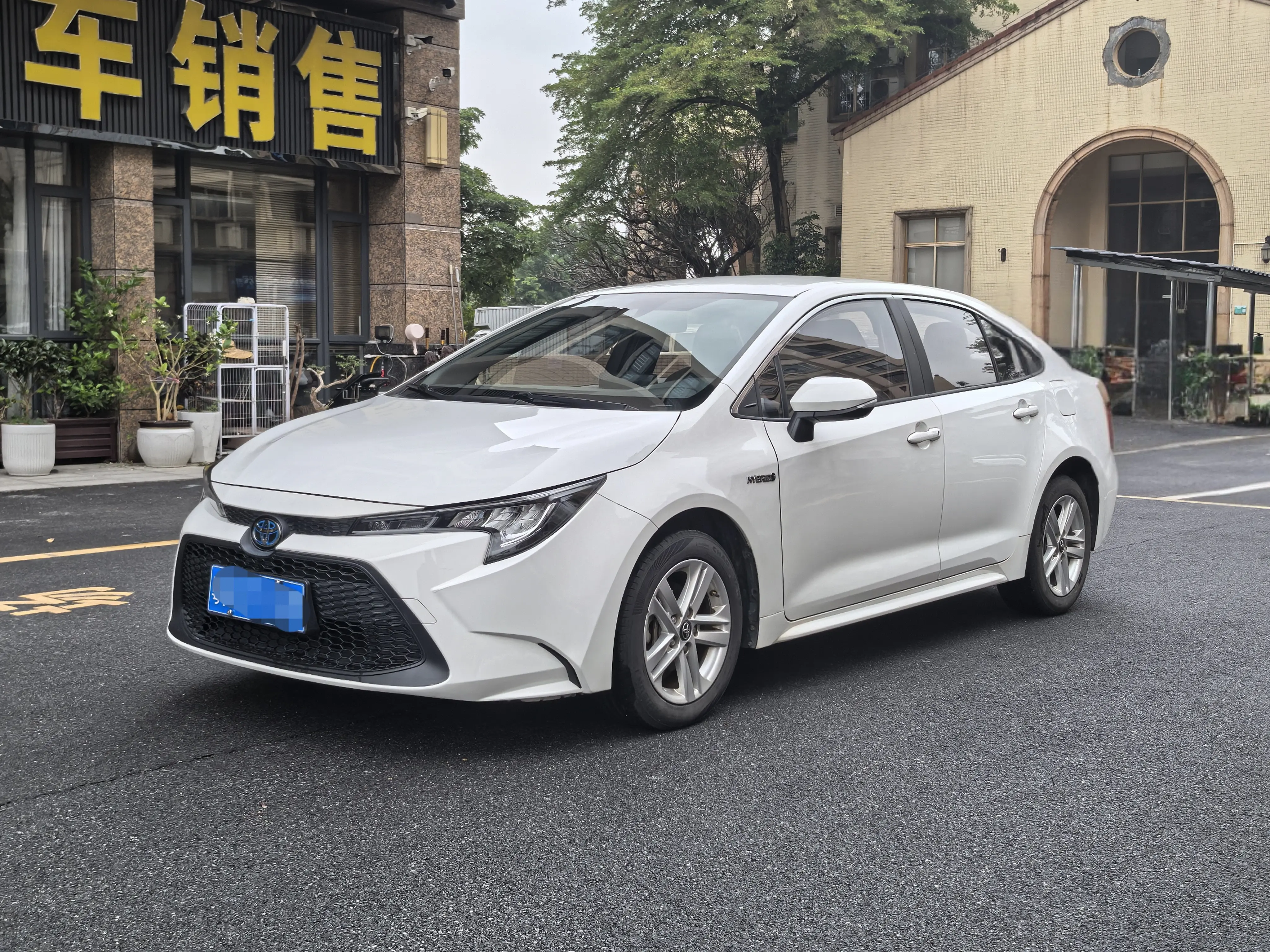 Toyota Levin