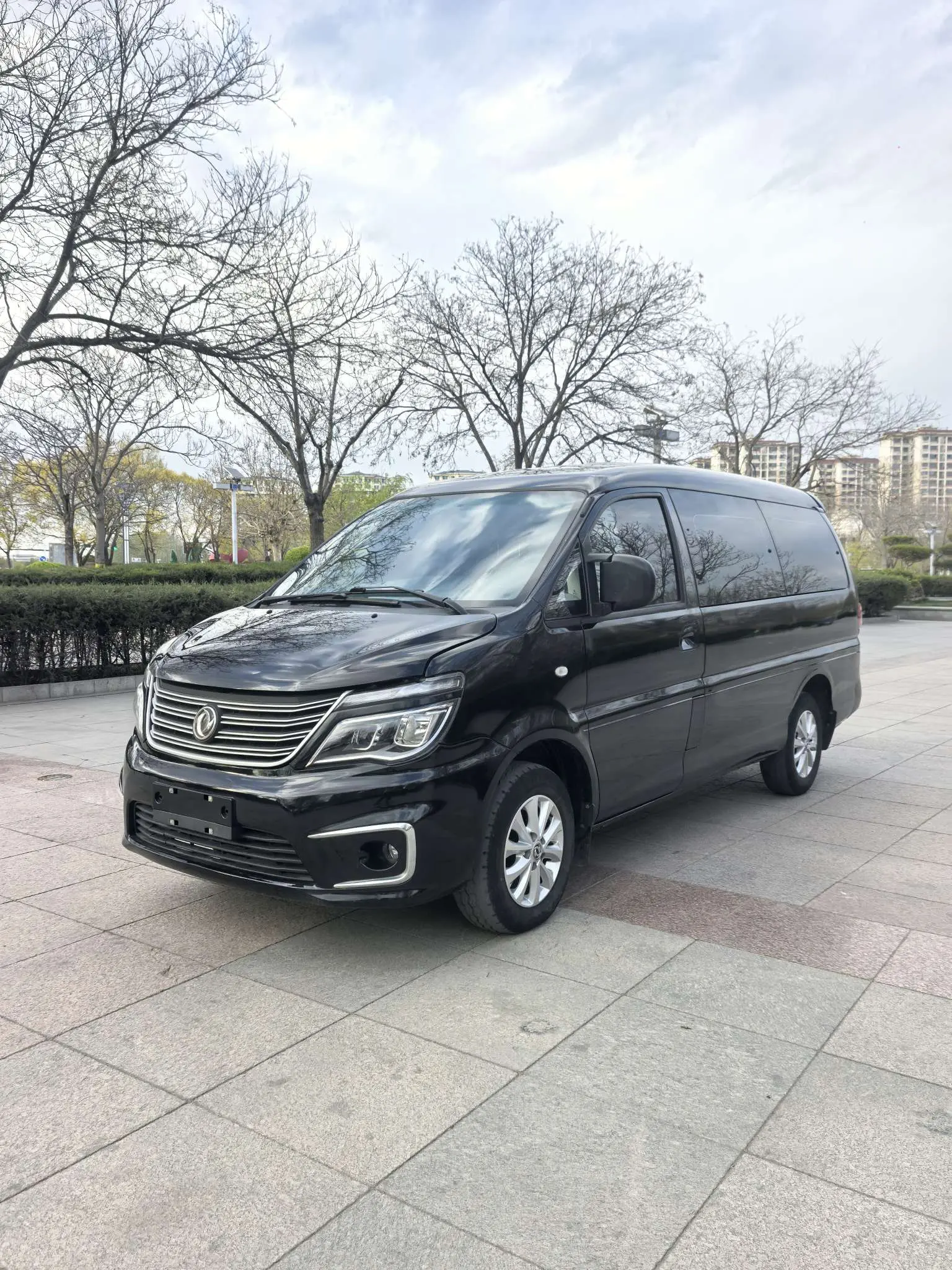 Forthing Lingzhi