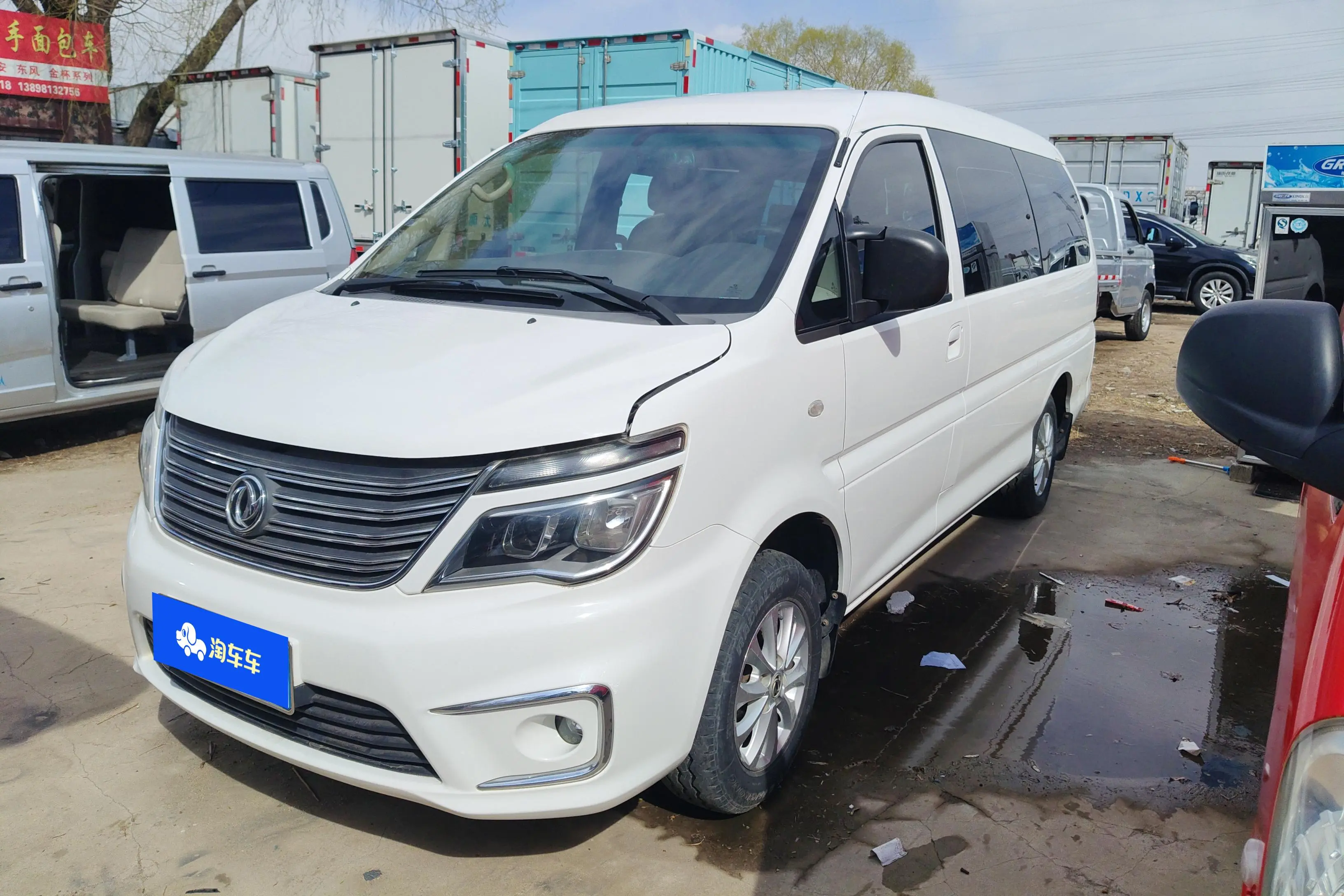 Forthing Lingzhi