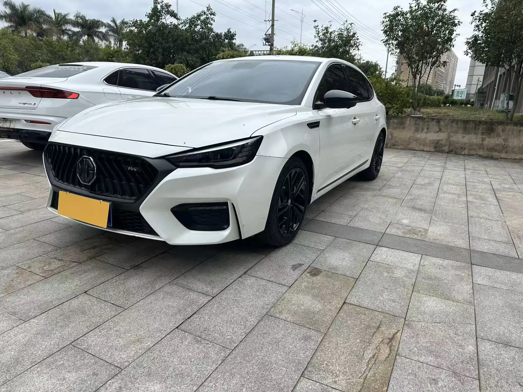 MG 6