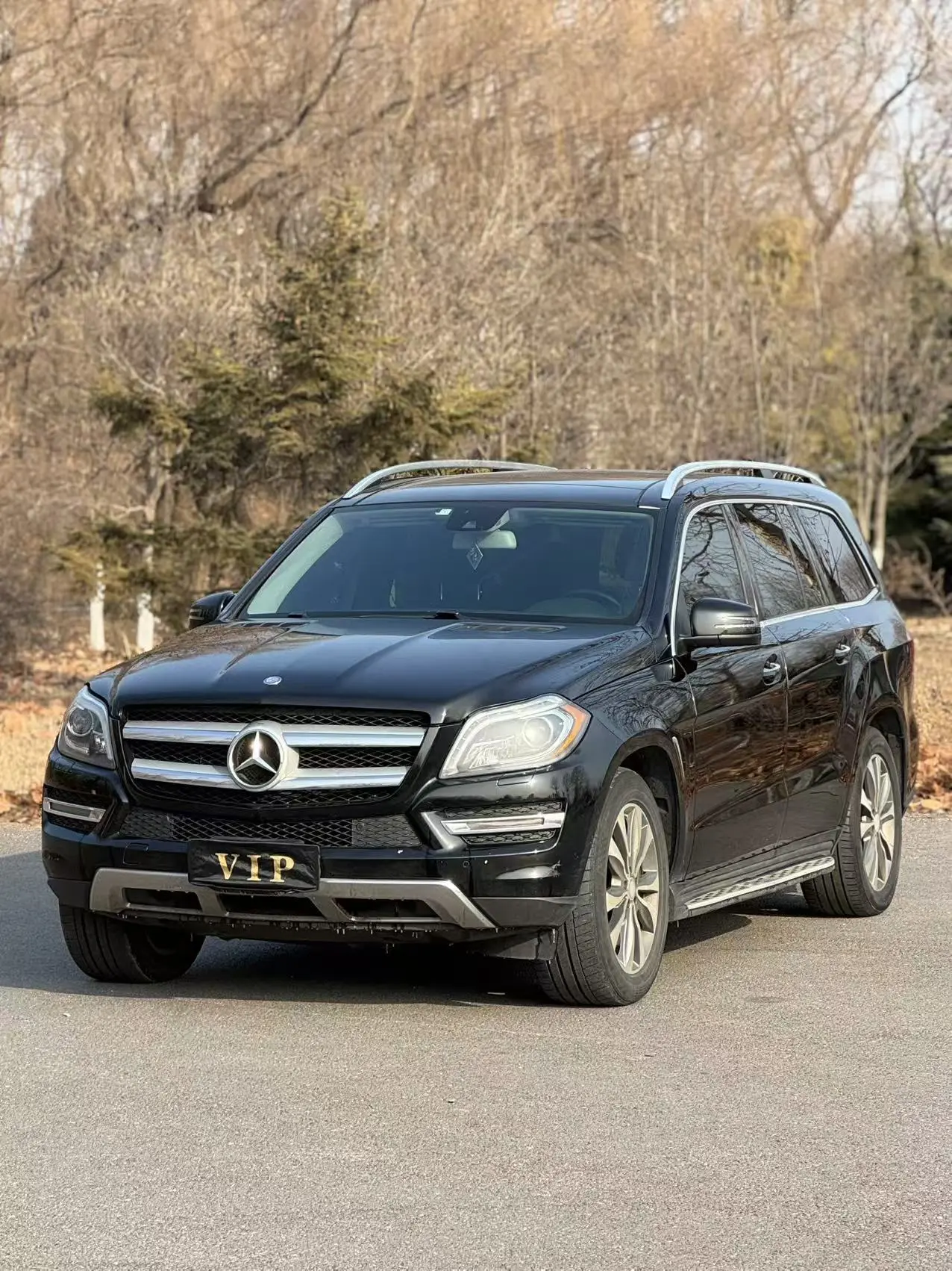 Mercedes-Benz Mercedes Benz GL Class