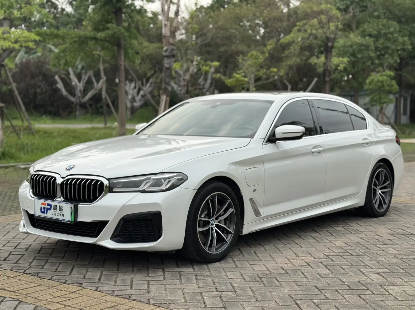 BMW 5 Series PHEV
