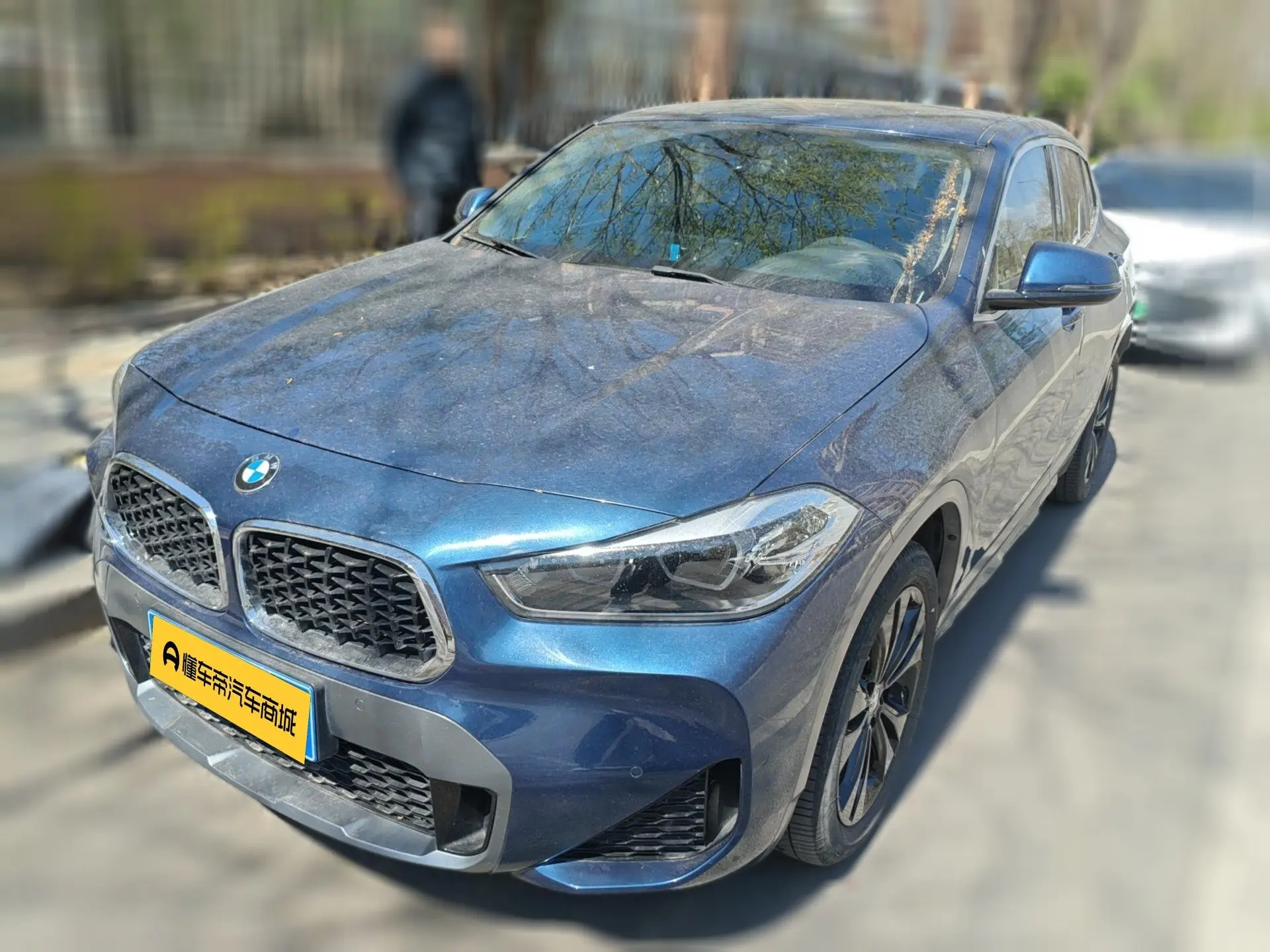 BMW X2