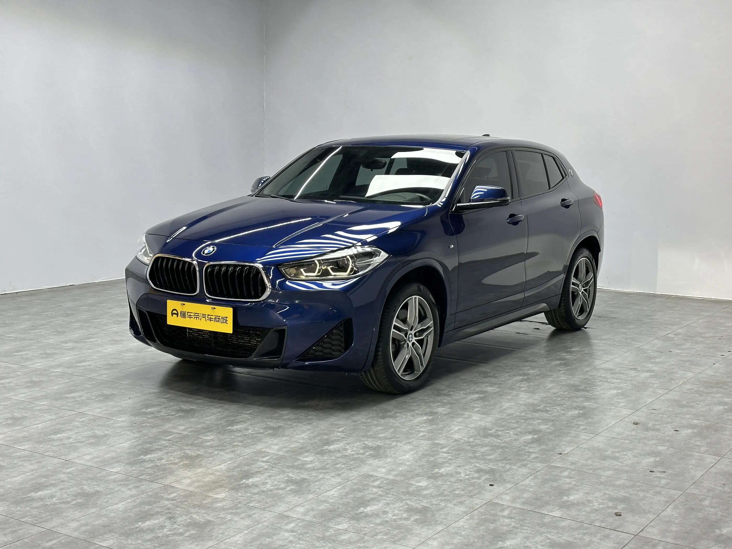 BMW X2