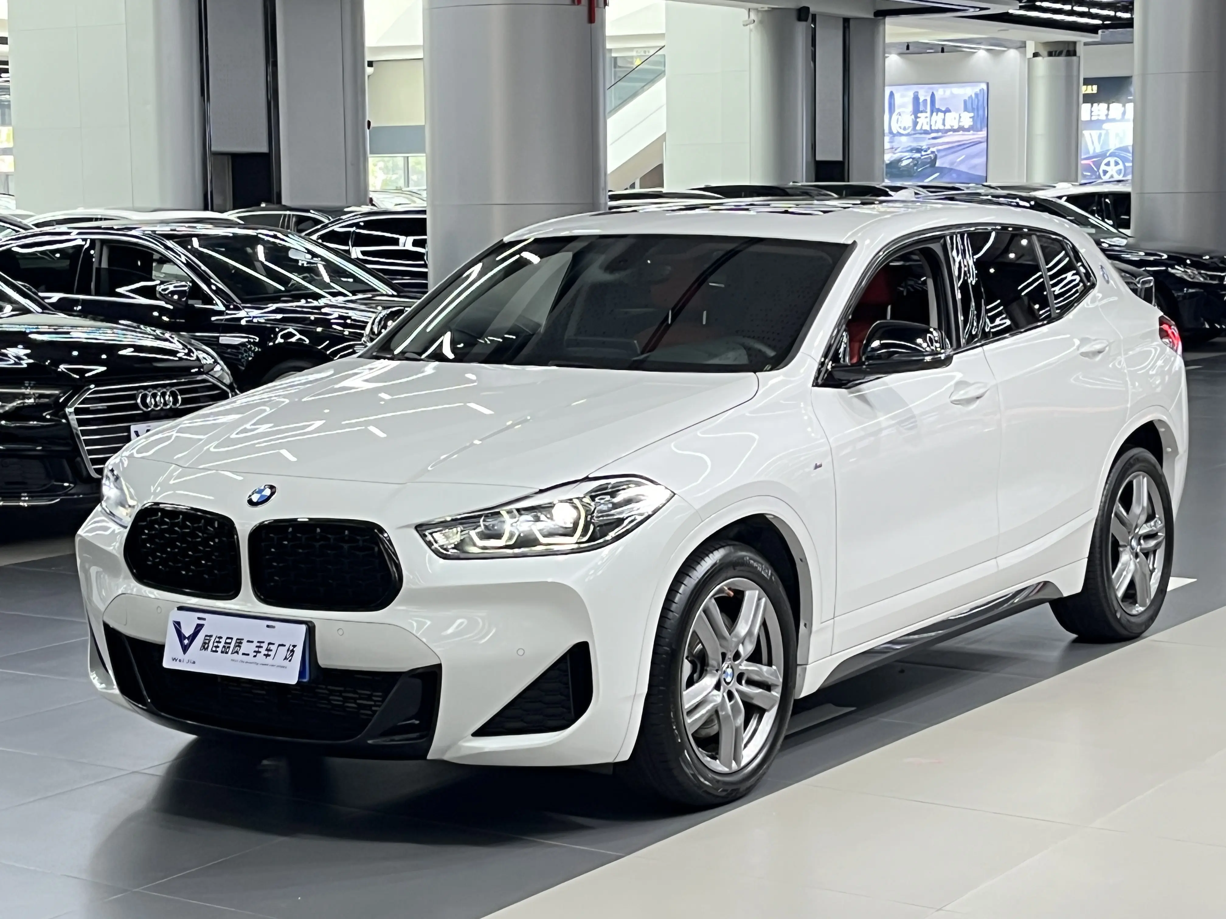 BMW X2