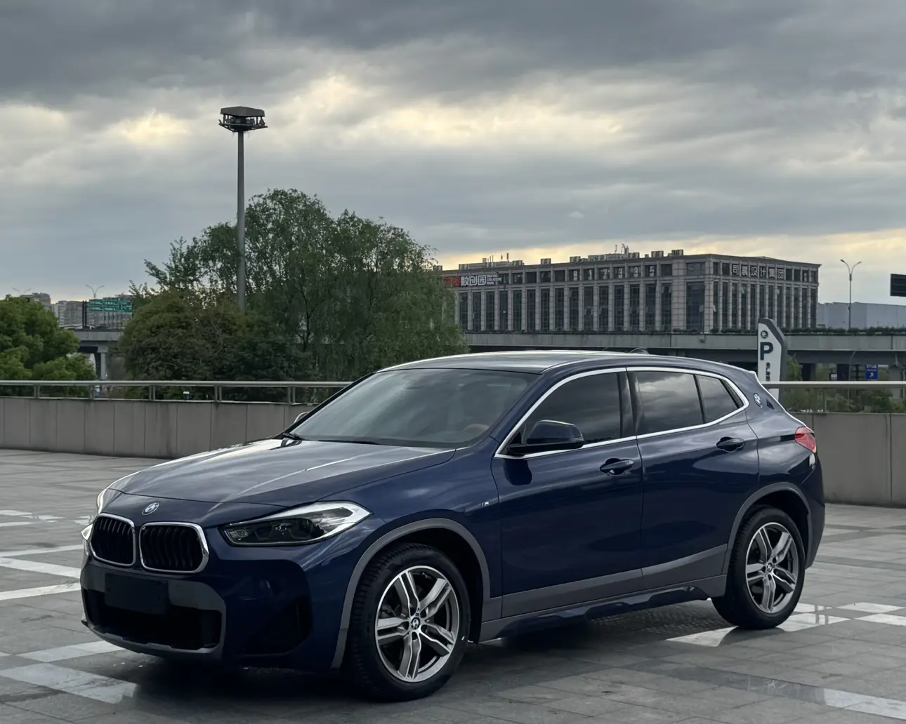 BMW X2