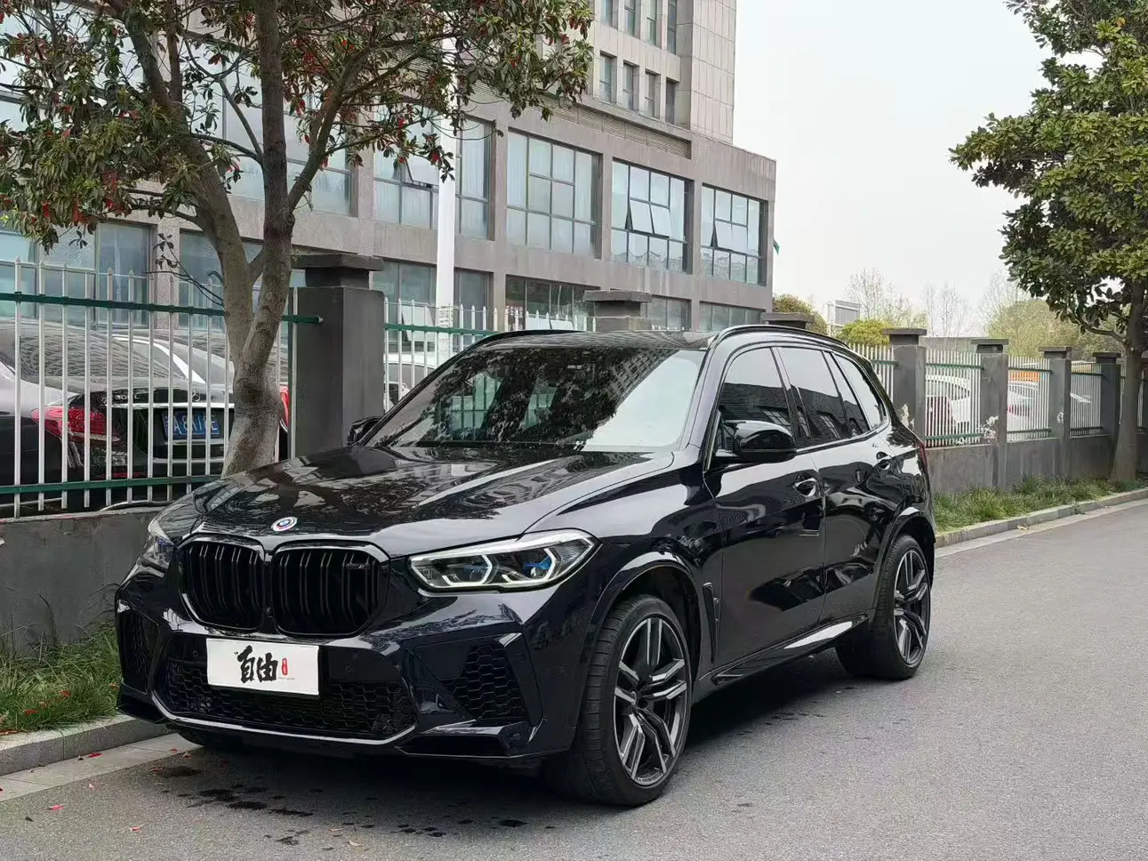 BMW X5M
