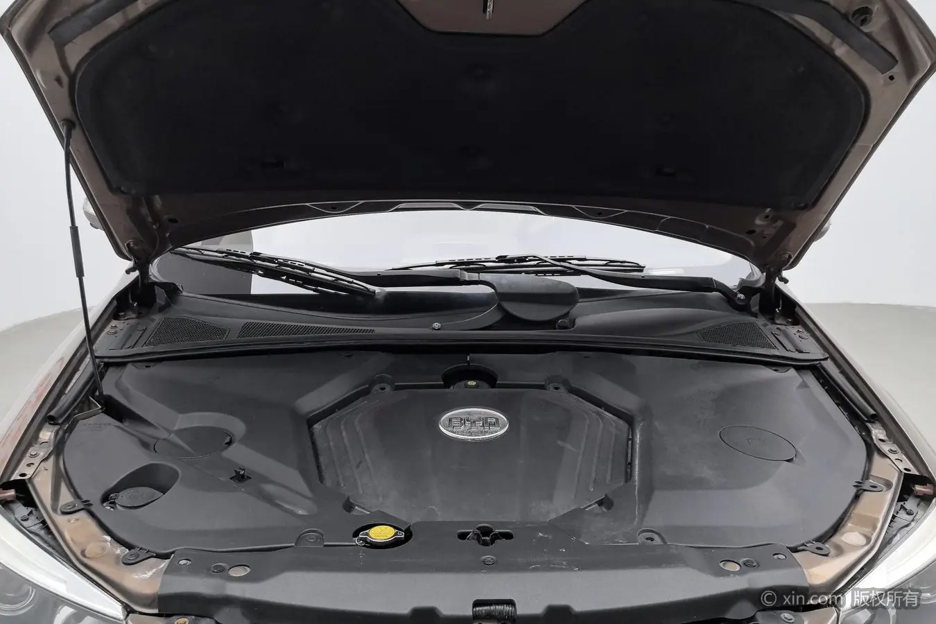 BYD S6