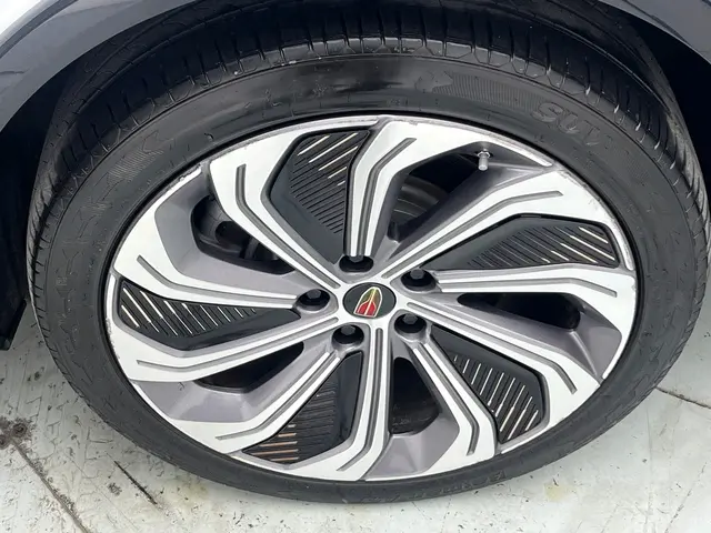 Hongqi E-HS9