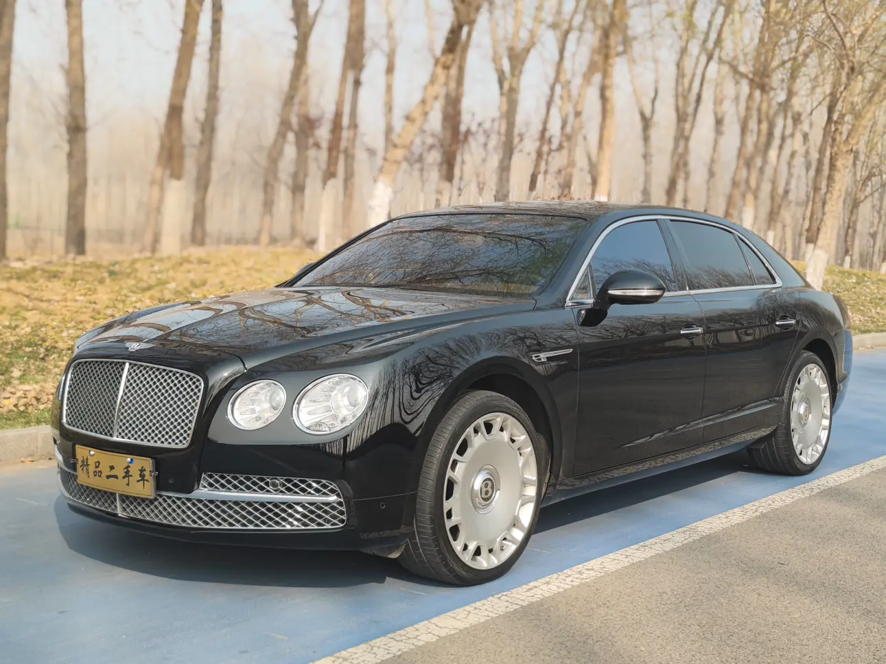 Bentley Galloping
