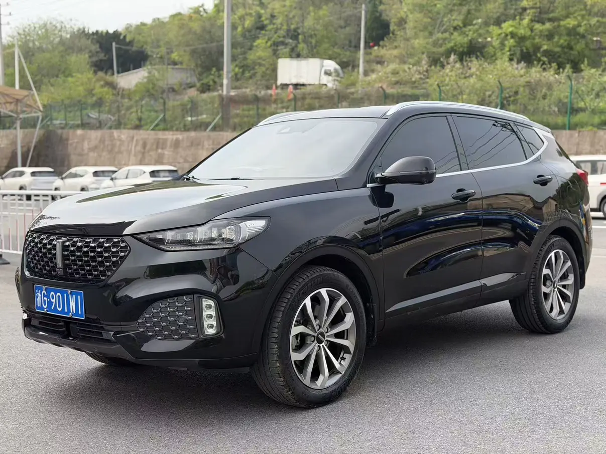 Wey Wei brand VV6