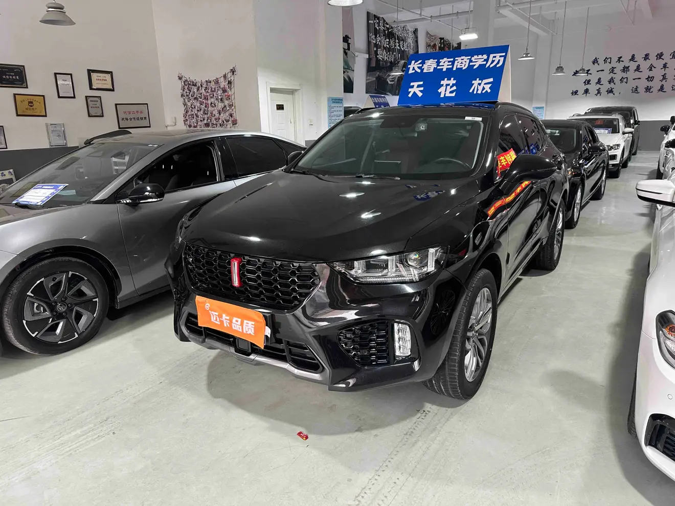 Wey Wei brand VV5