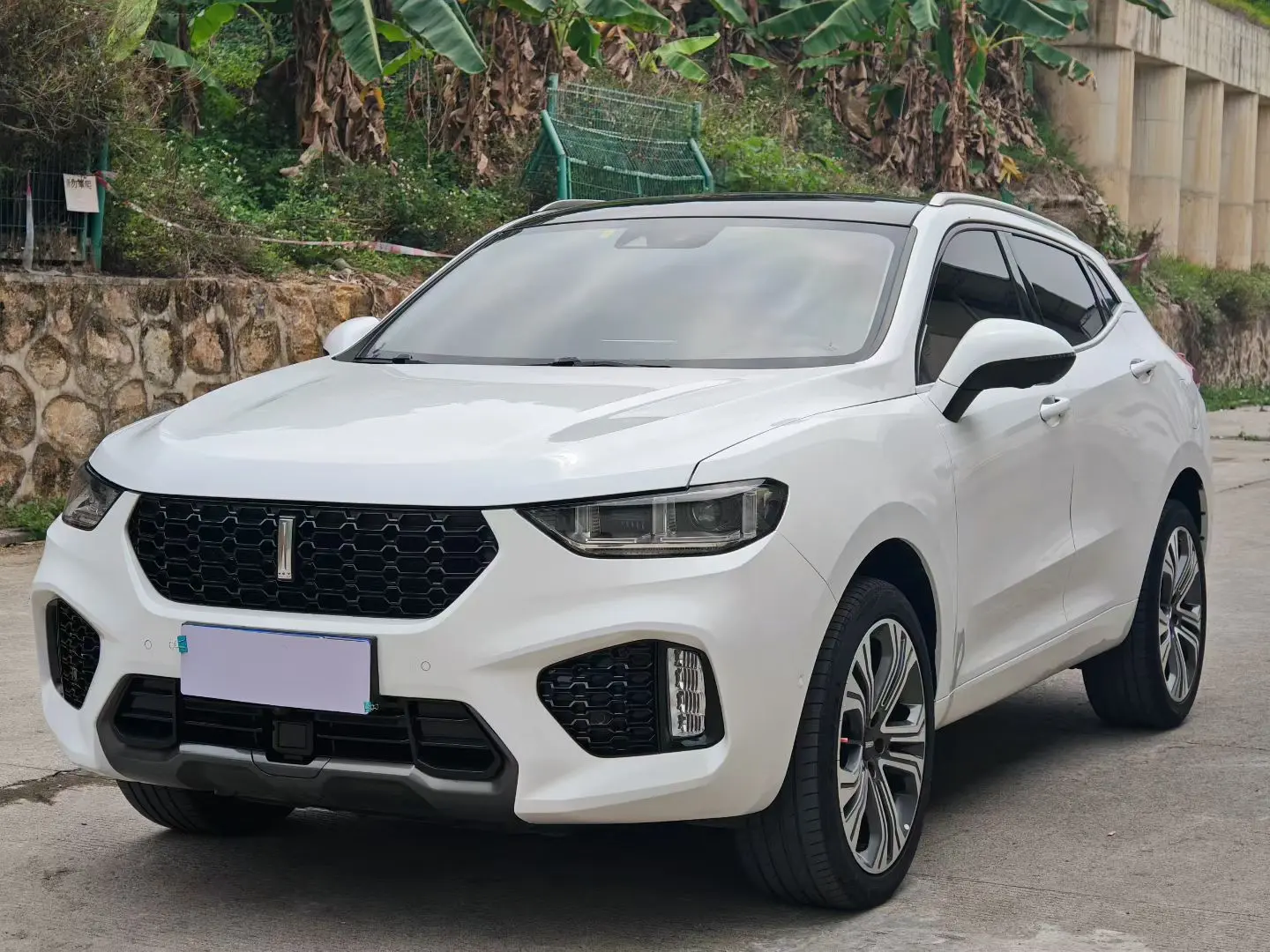 Wey Wei brand VV5