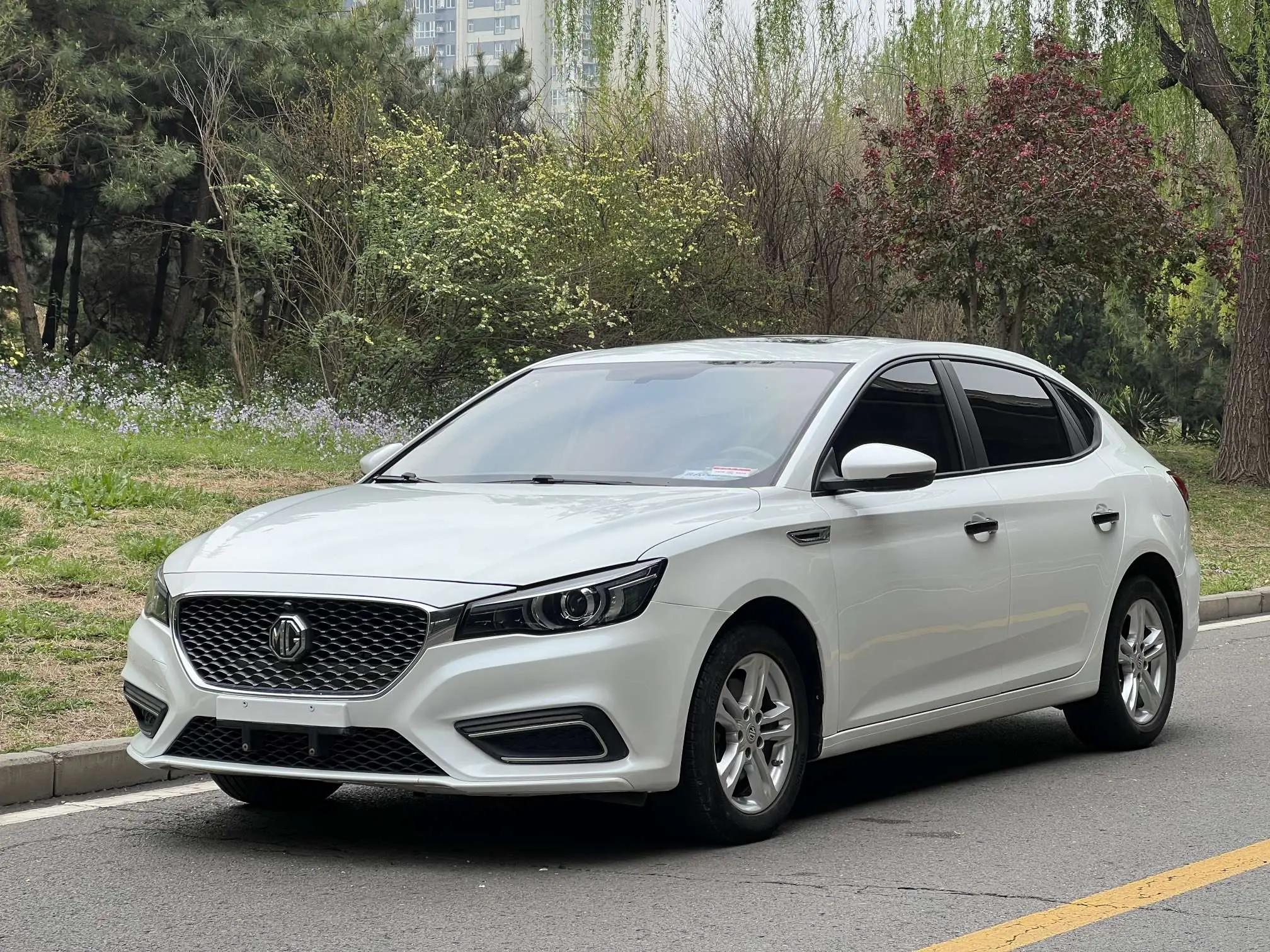 MG 6