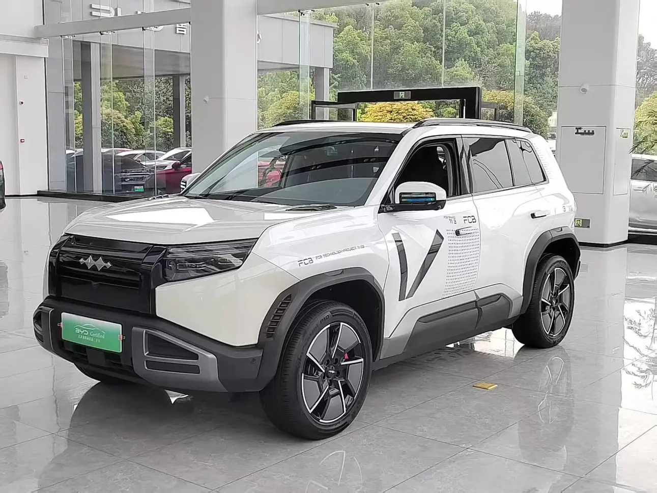BYD Leopard Titanium 3