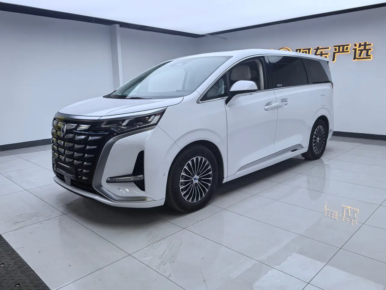 Denza D9 DM