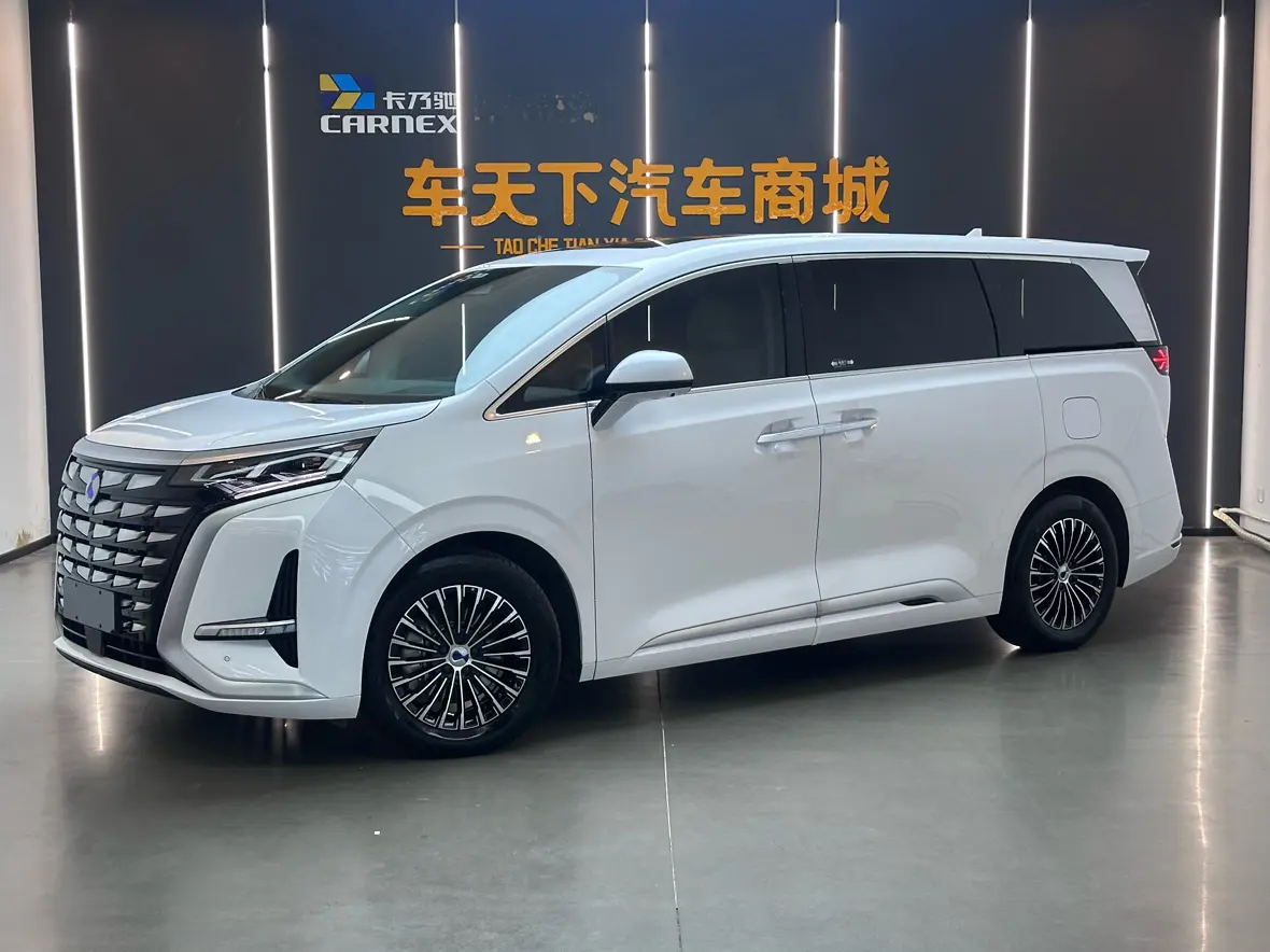 Denza D9 DM