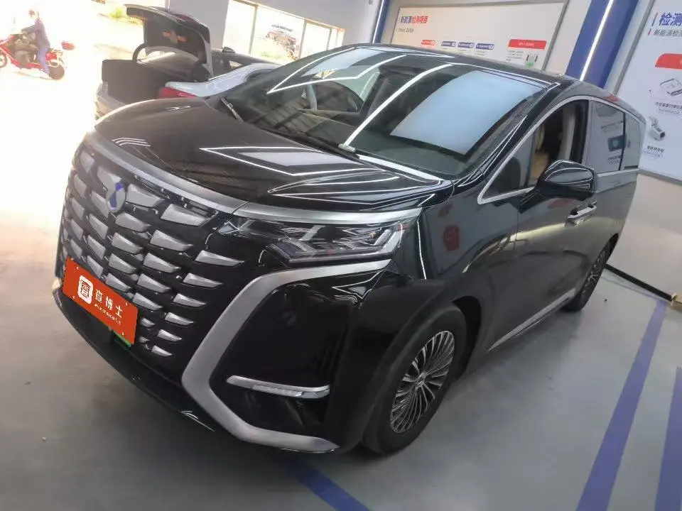 Denza D9 DM