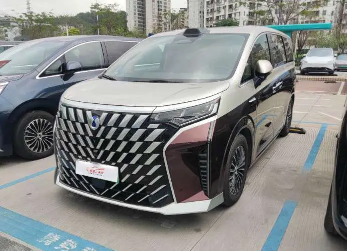 Denza D9 DM