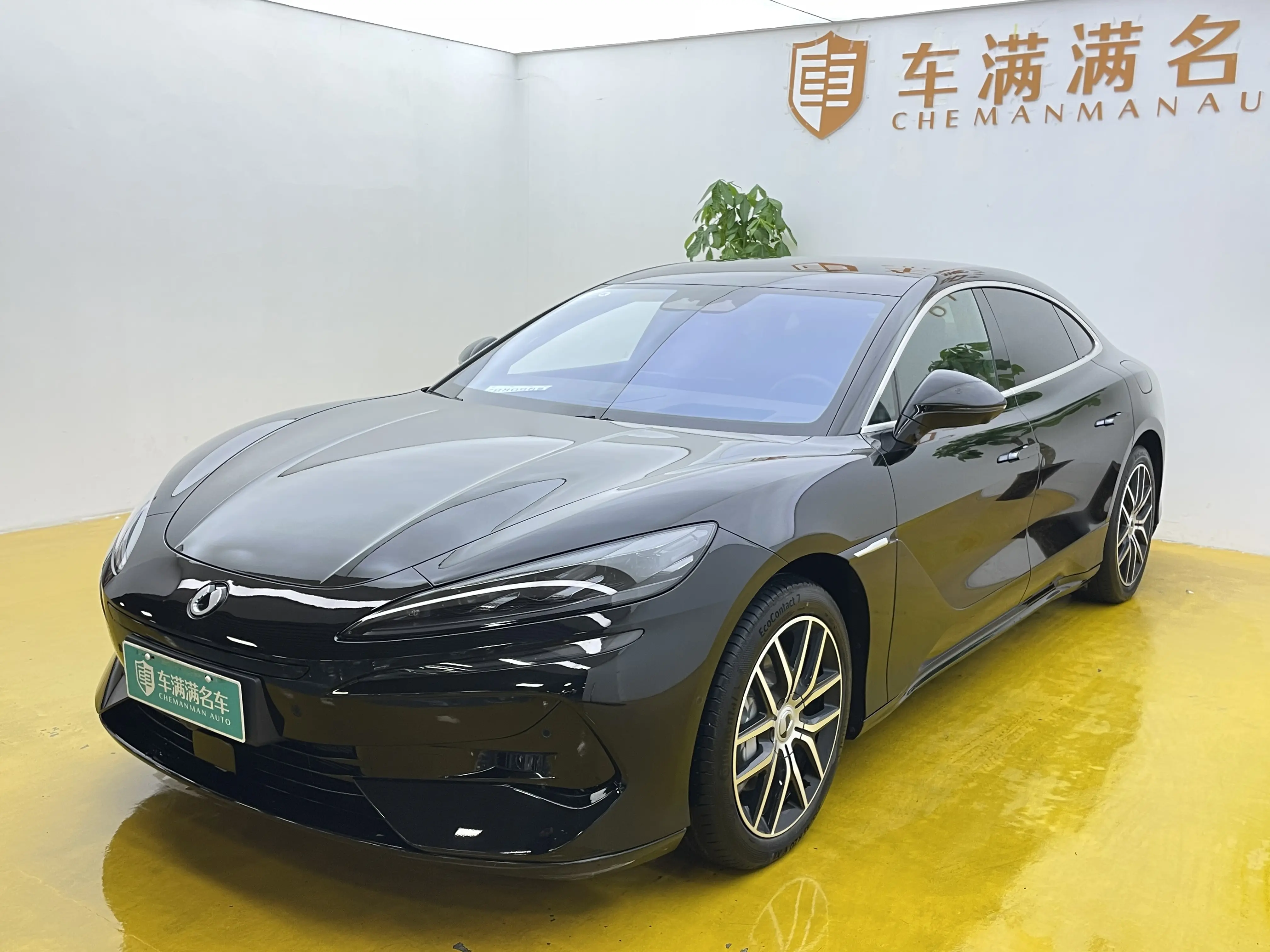 Denza Tengzhong Z9 DM