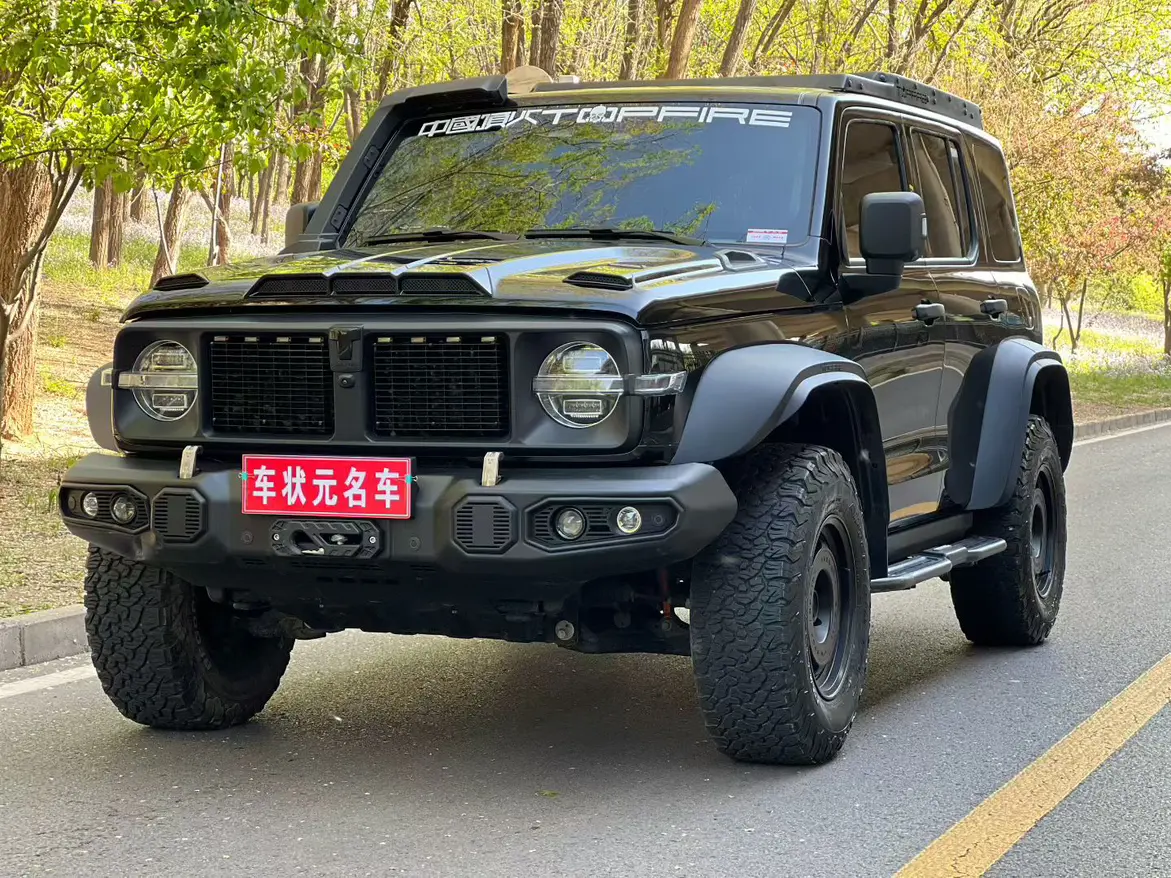 Tank 300