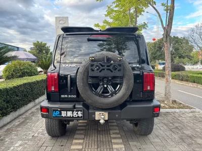 Tank 300