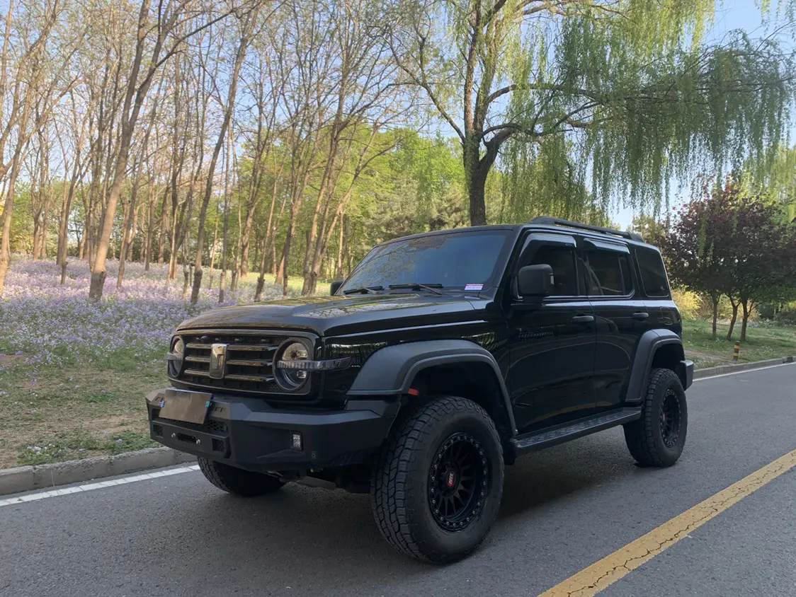 Tank 300